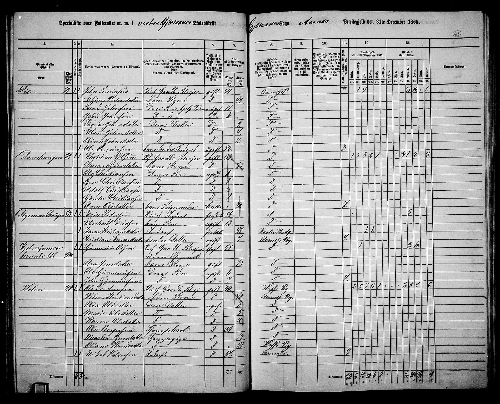 RA, 1865 census for Åsnes, 1865, p. 97