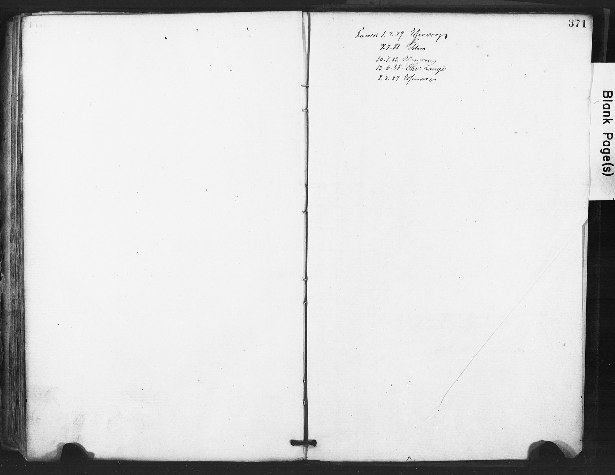 Tjølling kirkebøker, AV/SAKO-A-60/F/Fa/L0008: Parish register (official) no. 8, 1877-1886, p. 371