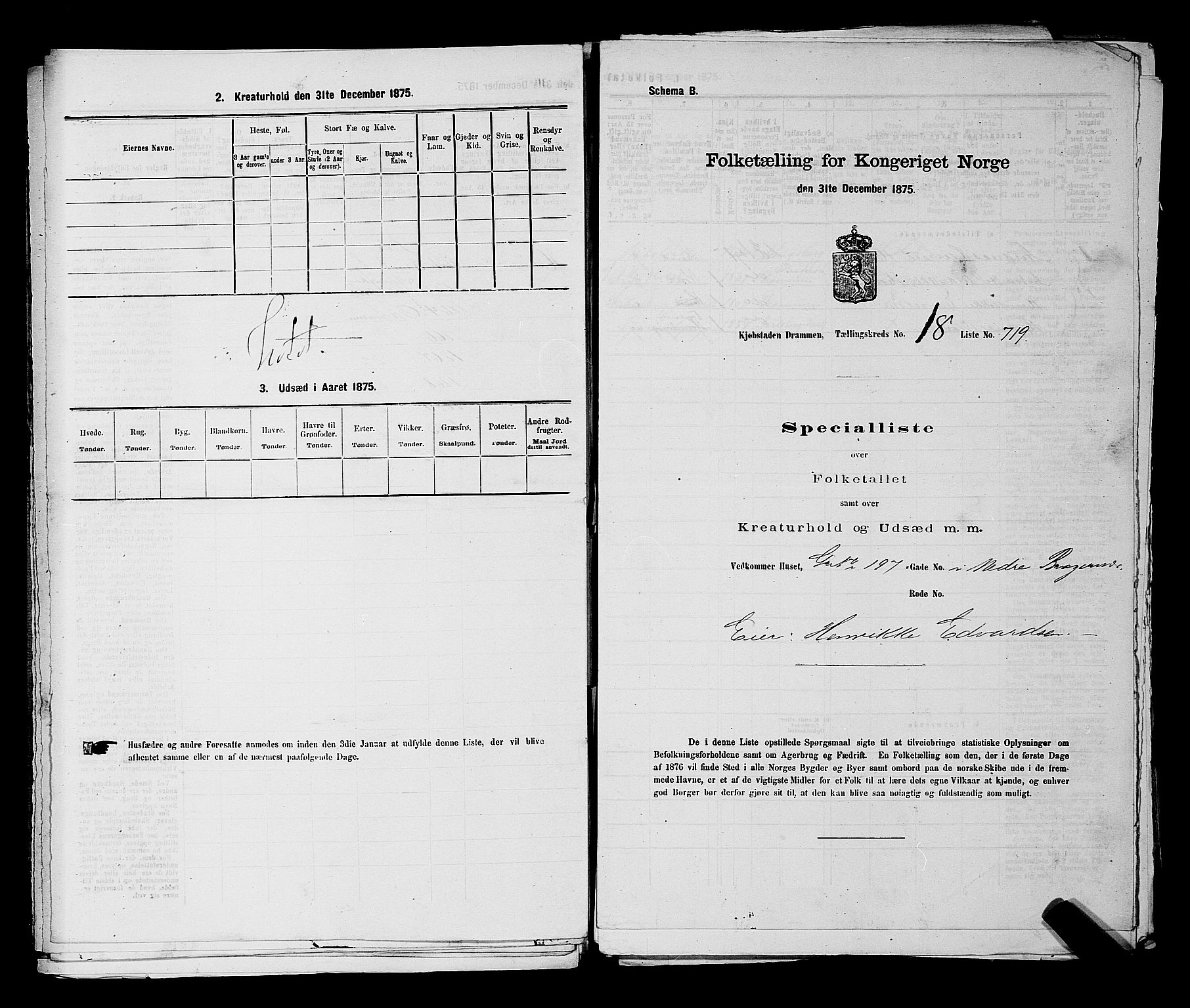 SAKO, 1875 census for 0602 Drammen, 1875, p. 2006
