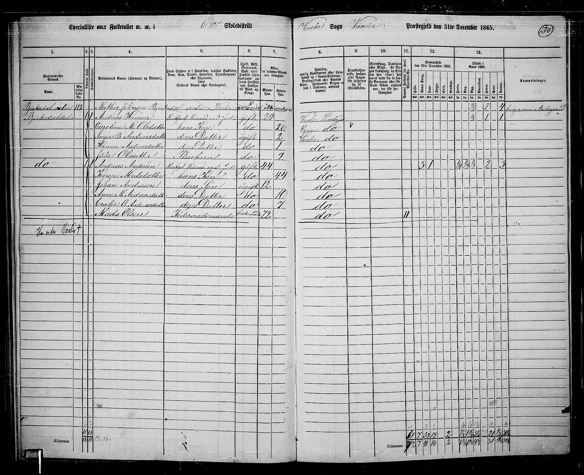 RA, 1865 census for Våler, 1865, p. 112