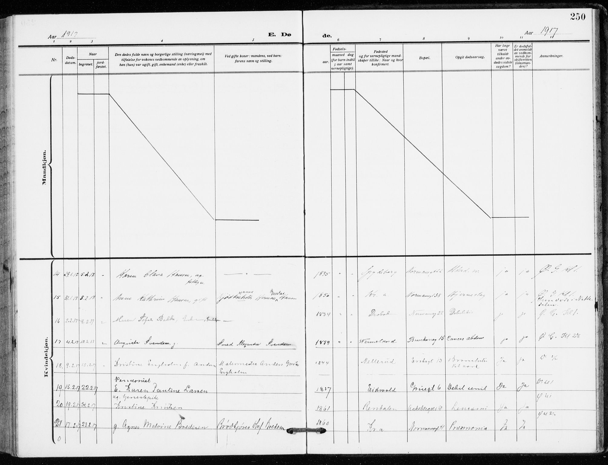 Kampen prestekontor Kirkebøker, AV/SAO-A-10853/F/Fa/L0013: Parish register (official) no. I 13, 1917-1922, p. 250