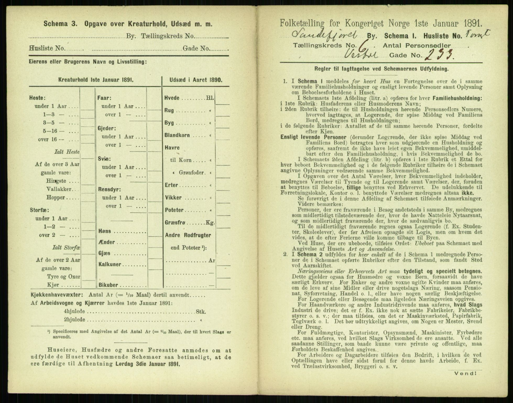 RA, 1891 census for 0706 Sandefjord, 1891, p. 729