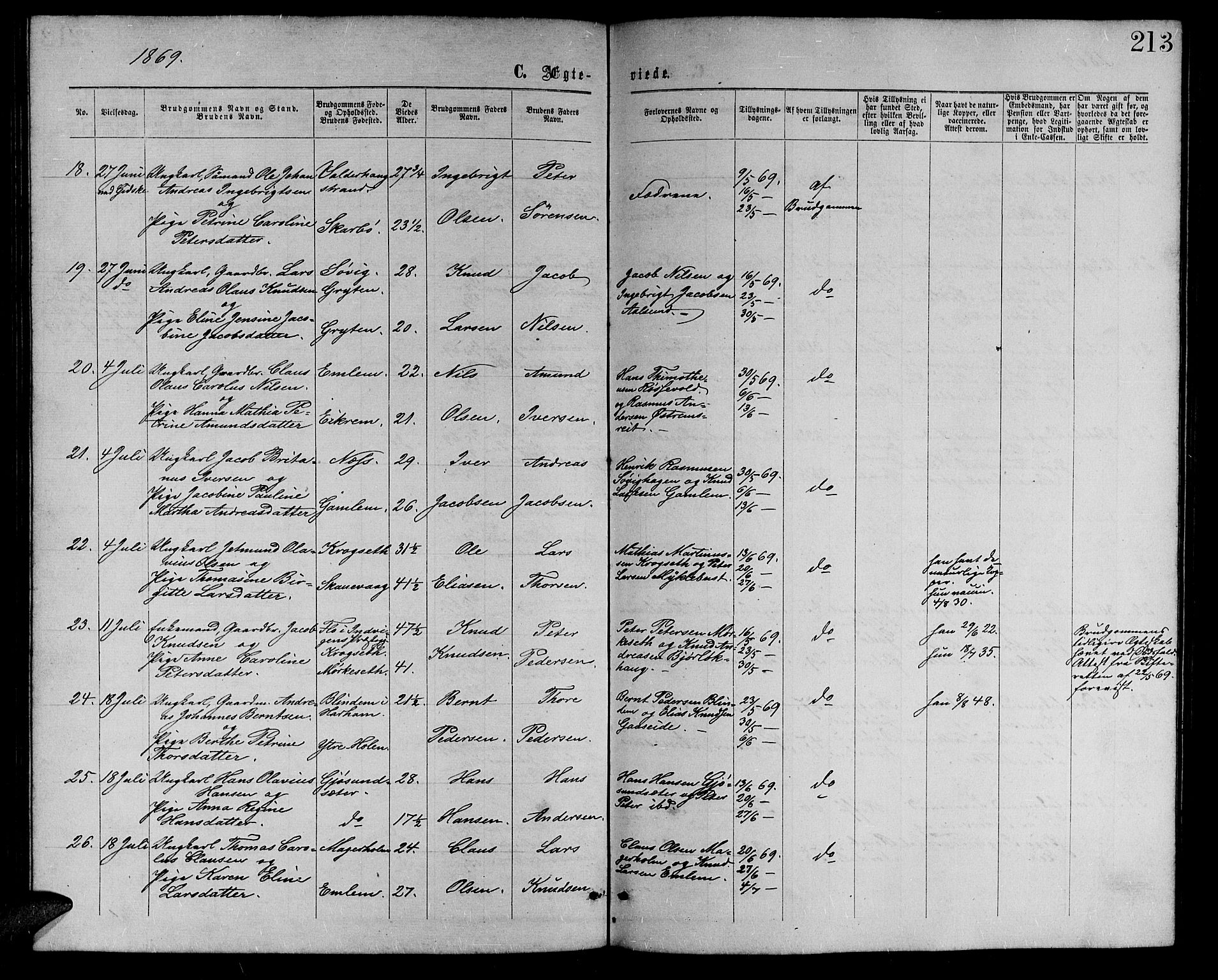 Ministerialprotokoller, klokkerbøker og fødselsregistre - Møre og Romsdal, AV/SAT-A-1454/528/L0428: Parish register (copy) no. 528C09, 1864-1880, p. 213