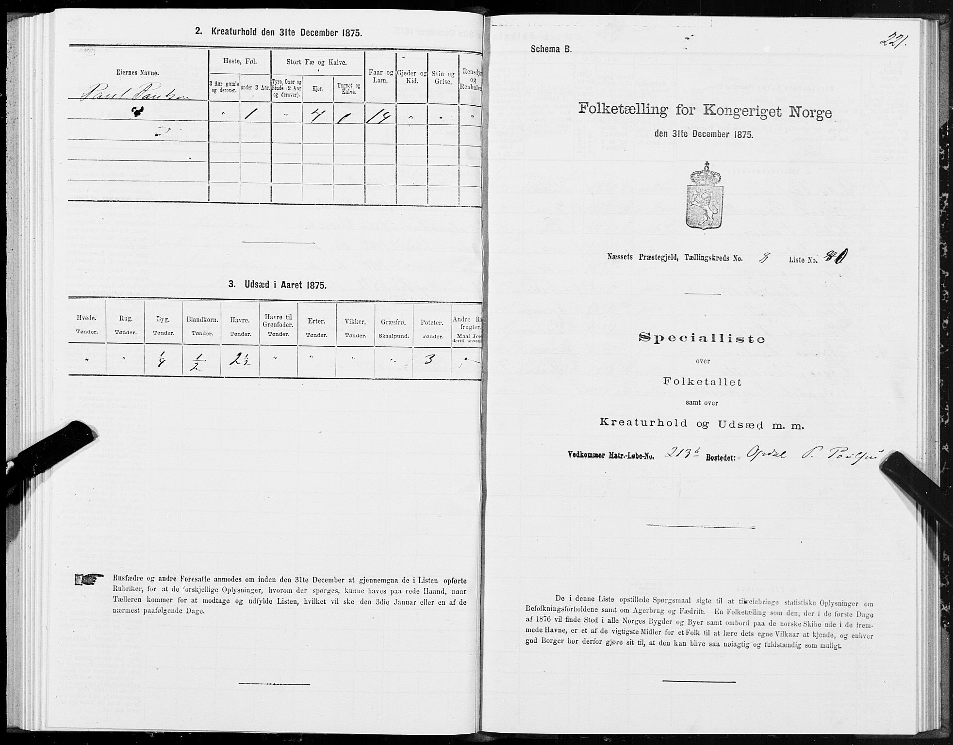 SAT, 1875 census for 1543P Nesset, 1875, p. 4221