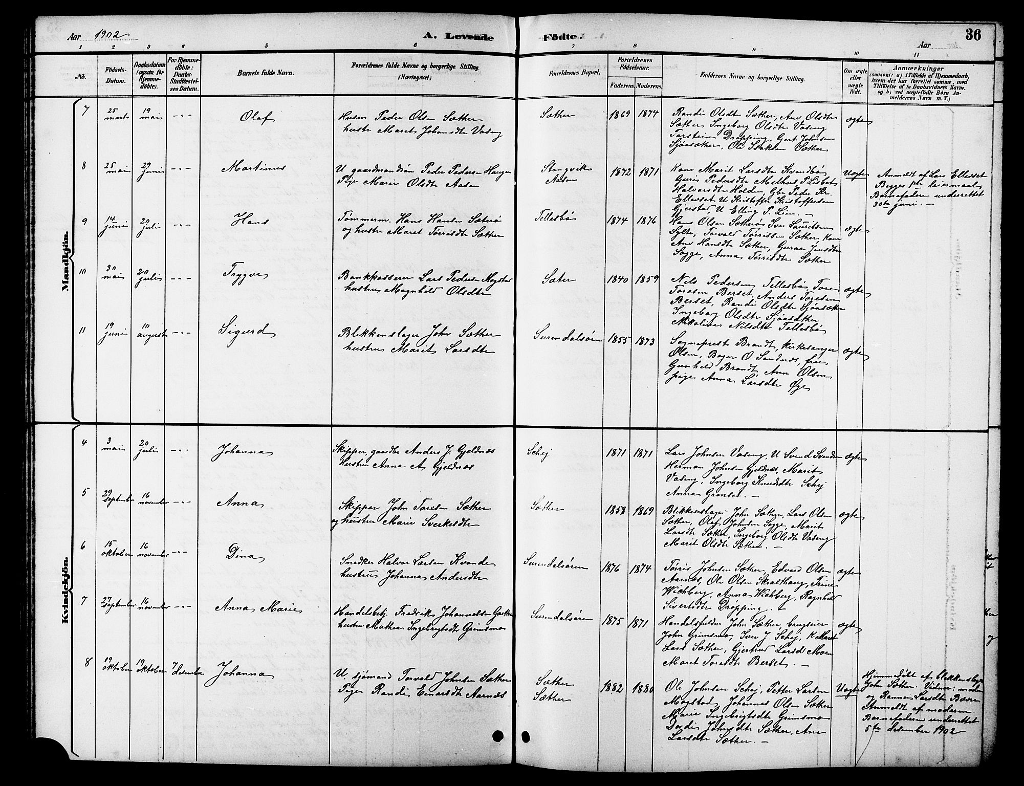 Ministerialprotokoller, klokkerbøker og fødselsregistre - Møre og Romsdal, AV/SAT-A-1454/596/L1058: Parish register (copy) no. 596C01, 1891-1907, p. 36