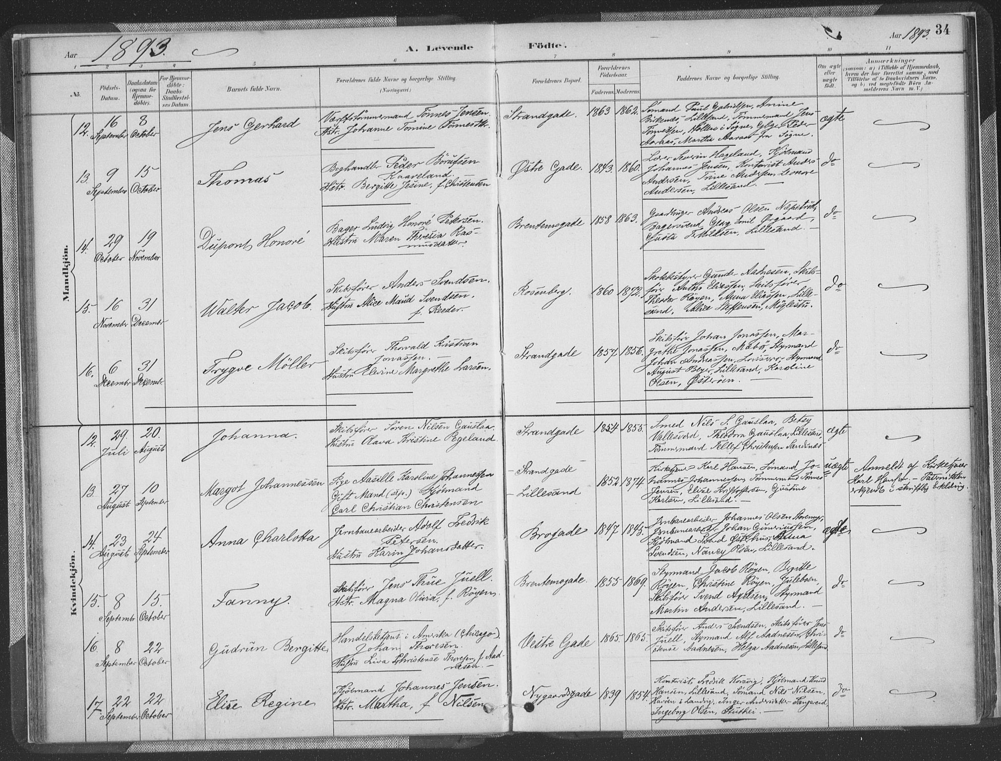 Vestre Moland sokneprestkontor, AV/SAK-1111-0046/F/Fa/Faa/L0001: Parish register (official) no. A 1, 1884-1899, p. 35