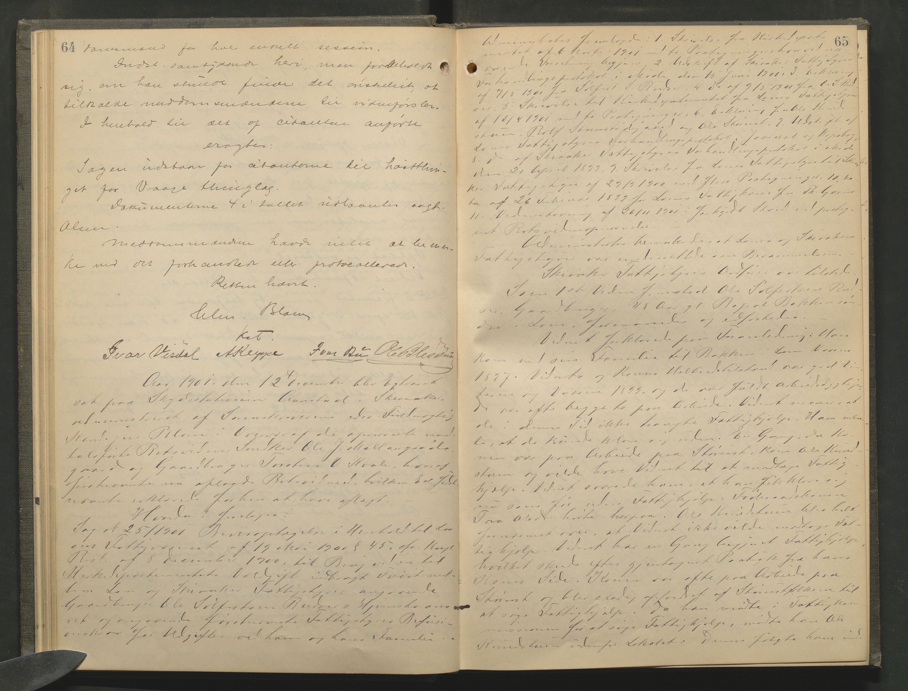 Nord-Gudbrandsdal tingrett, AV/SAH-TING-002/G/Gc/Gcb/L0006: Ekstrarettsprotokoll for åstedssaker, 1900-1906, p. 64-65