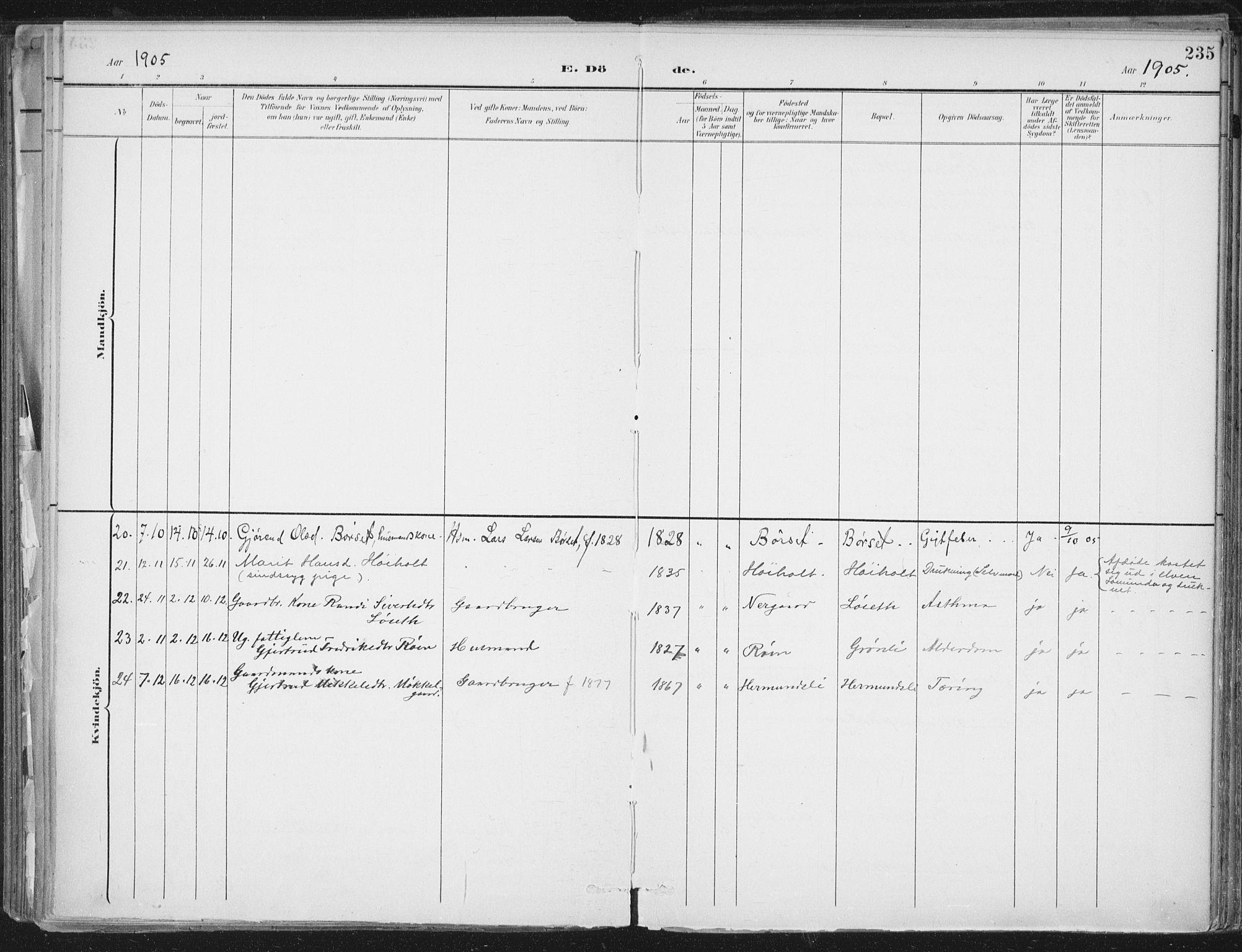 Ministerialprotokoller, klokkerbøker og fødselsregistre - Møre og Romsdal, AV/SAT-A-1454/598/L1072: Parish register (official) no. 598A06, 1896-1910, p. 235