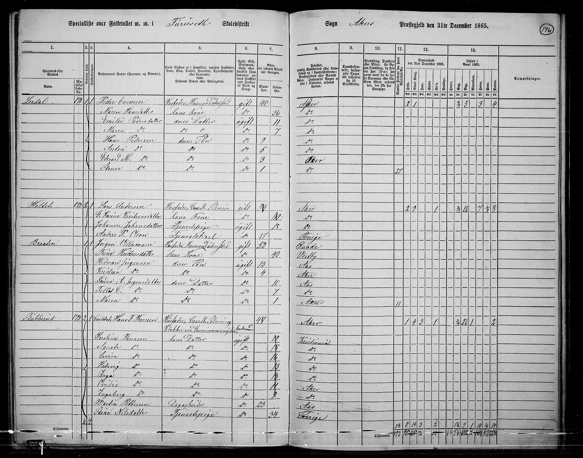 RA, 1865 census for Østre Aker, 1865, p. 165