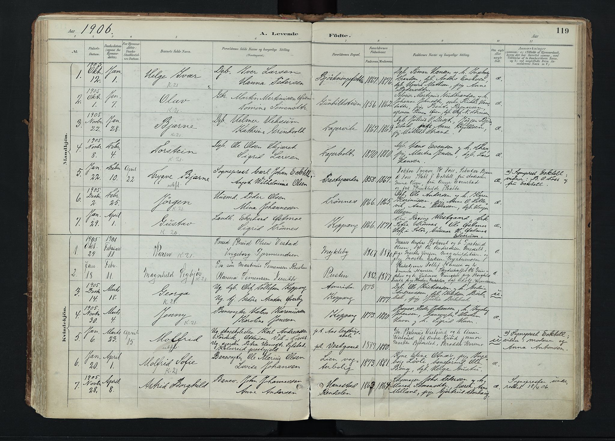 Stor-Elvdal prestekontor, SAH/PREST-052/H/Ha/Haa/L0004: Parish register (official) no. 4, 1890-1922, p. 119