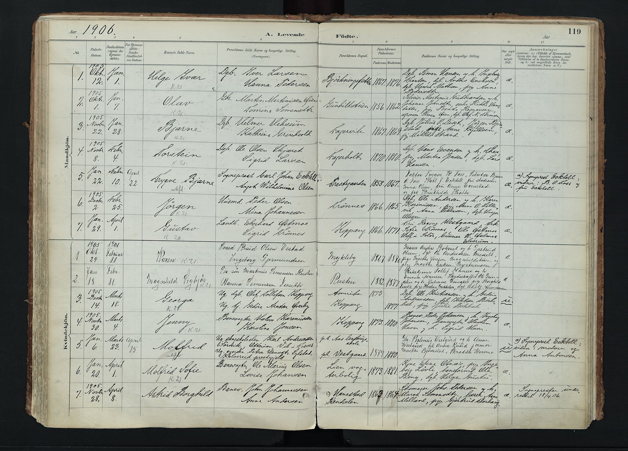 Stor-Elvdal prestekontor, AV/SAH-PREST-052/H/Ha/Haa/L0004: Parish register (official) no. 4, 1890-1922, p. 119