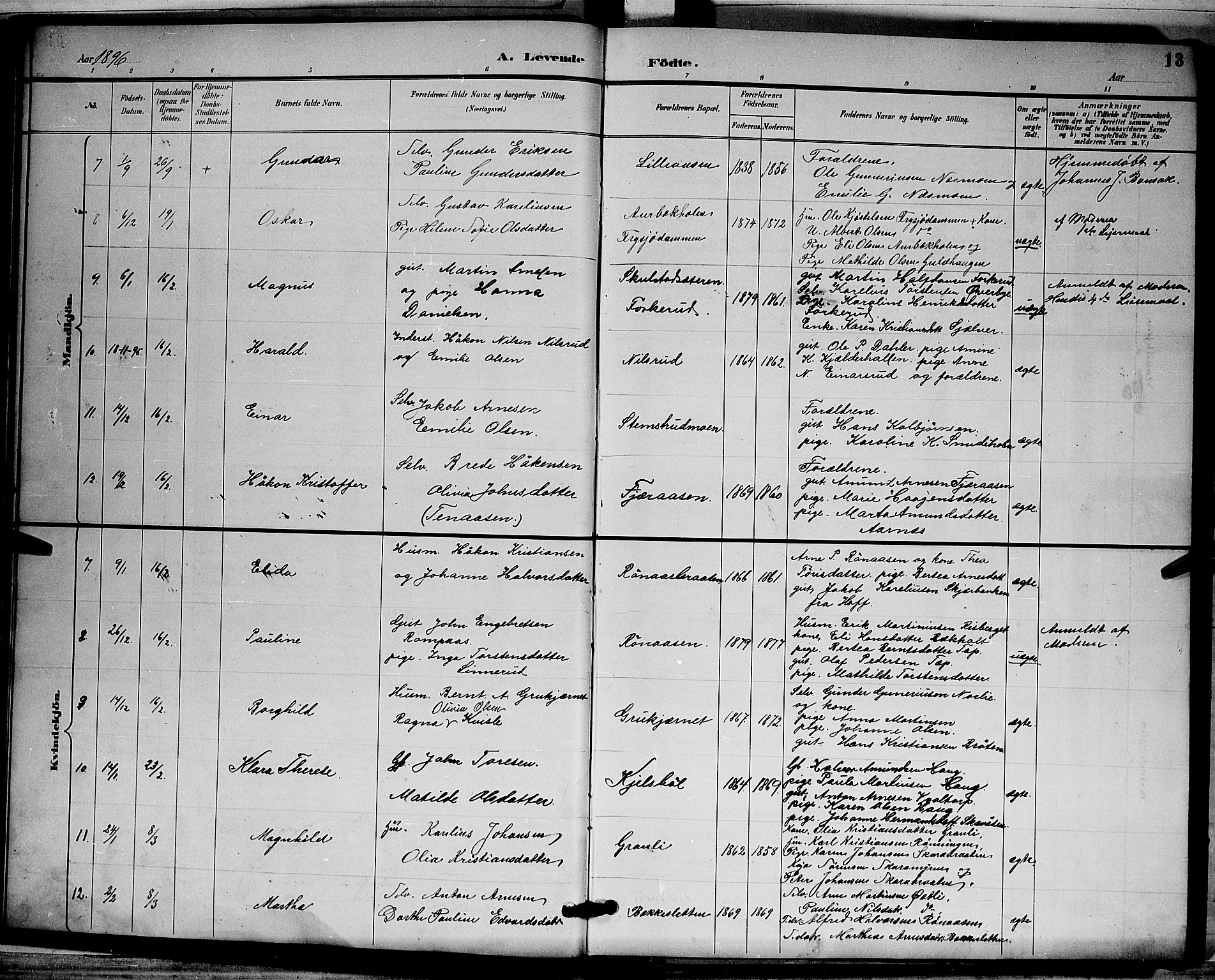 Grue prestekontor, SAH/PREST-036/H/Ha/Hab/L0003: Parish register (copy) no. 3, 1895-1899, p. 13