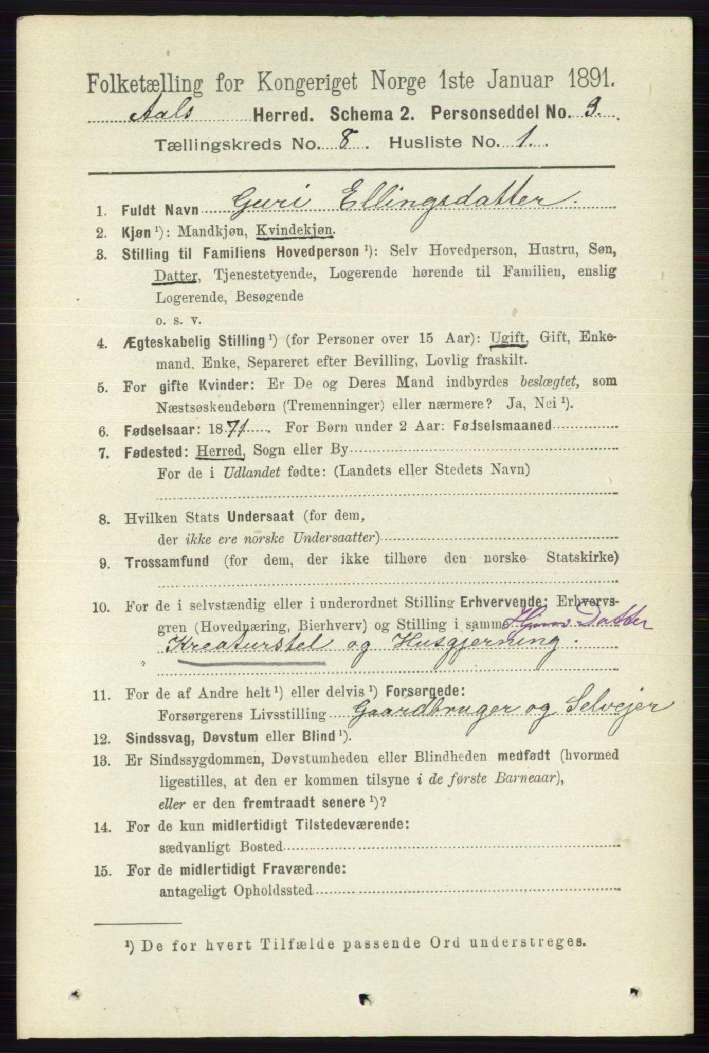 RA, 1891 census for 0619 Ål, 1891, p. 2095