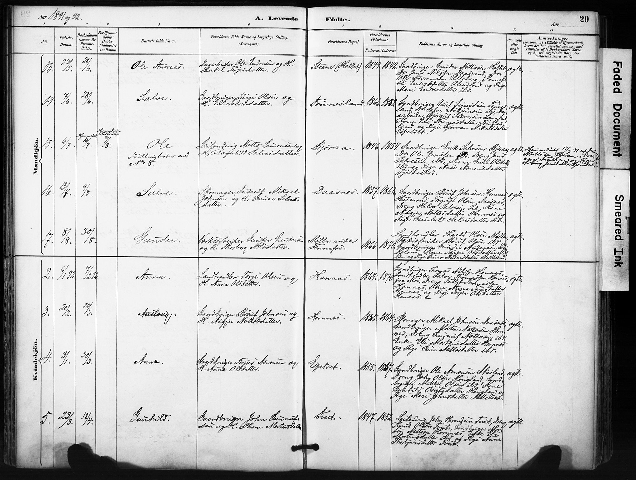 Evje sokneprestkontor, AV/SAK-1111-0008/F/Fa/Fab/L0003: Parish register (official) no. A 3, 1884-1909, p. 29