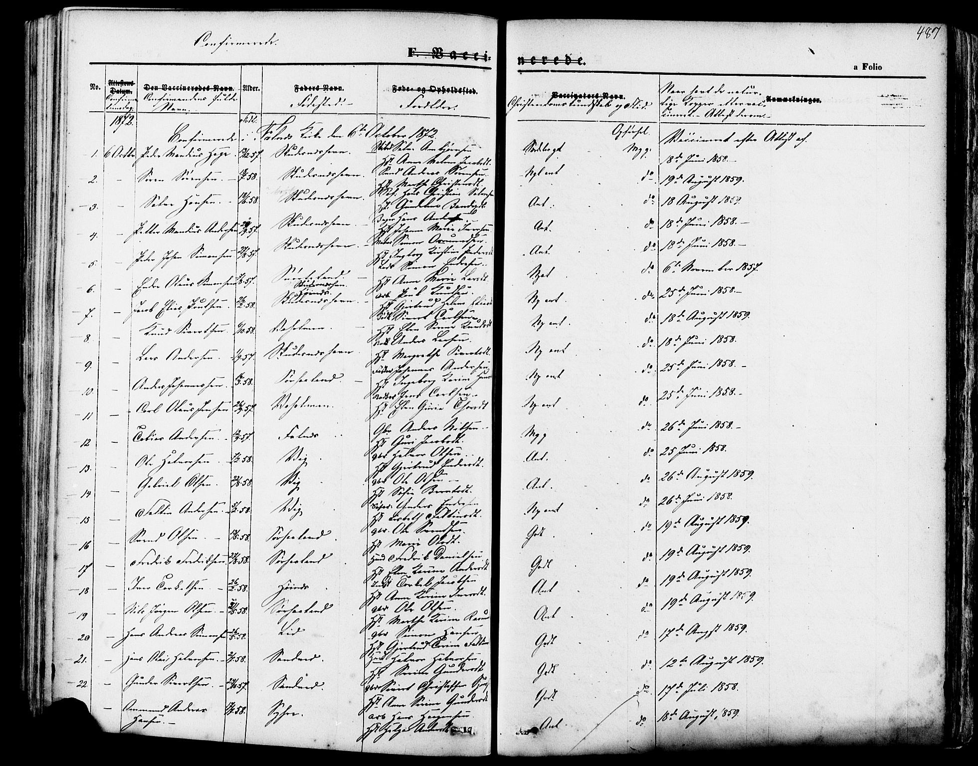 Skudenes sokneprestkontor, SAST/A -101849/H/Ha/Haa/L0006: Parish register (official) no. A 4, 1864-1881, p. 487