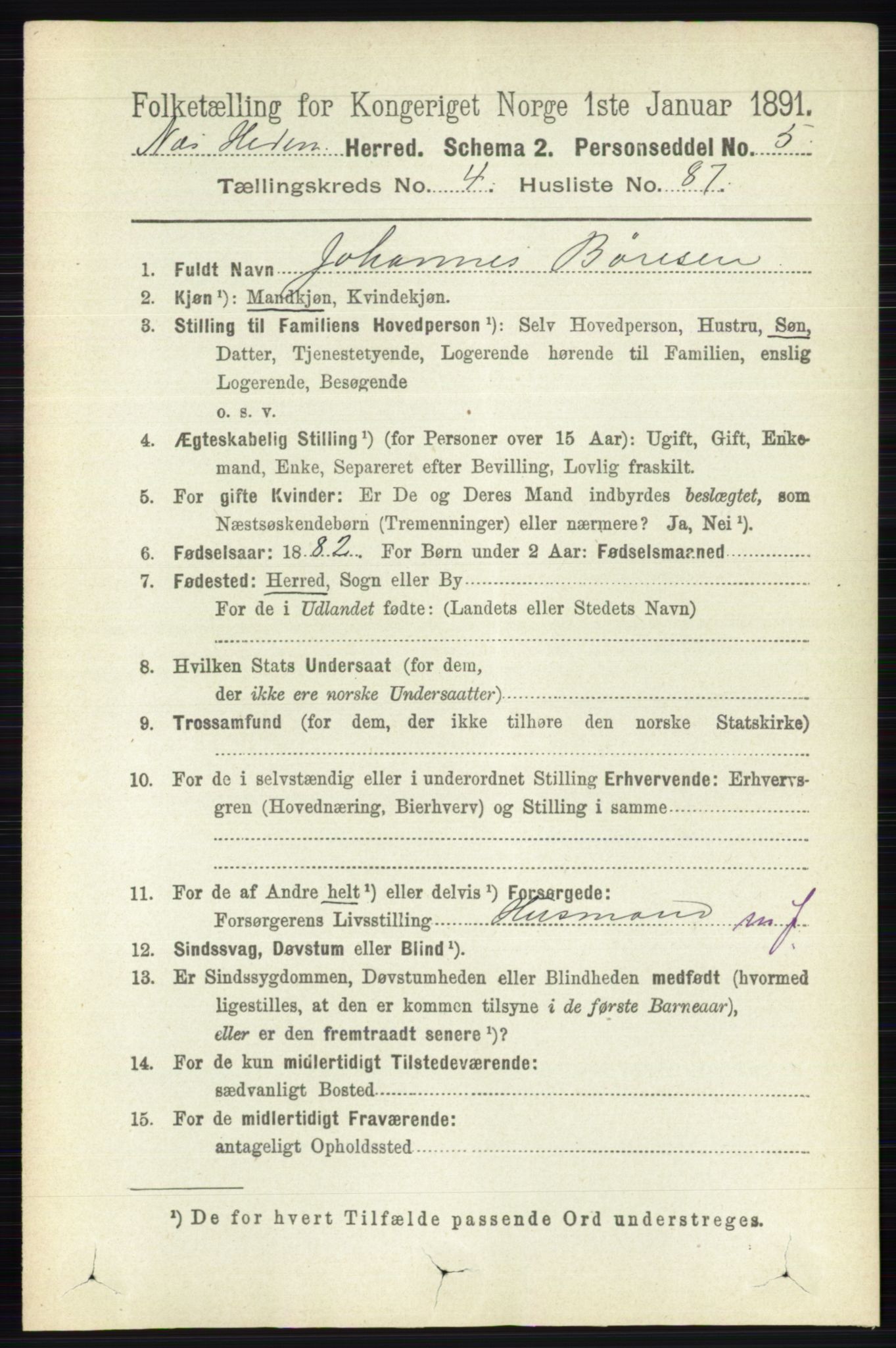 RA, 1891 census for 0411 Nes, 1891, p. 2507