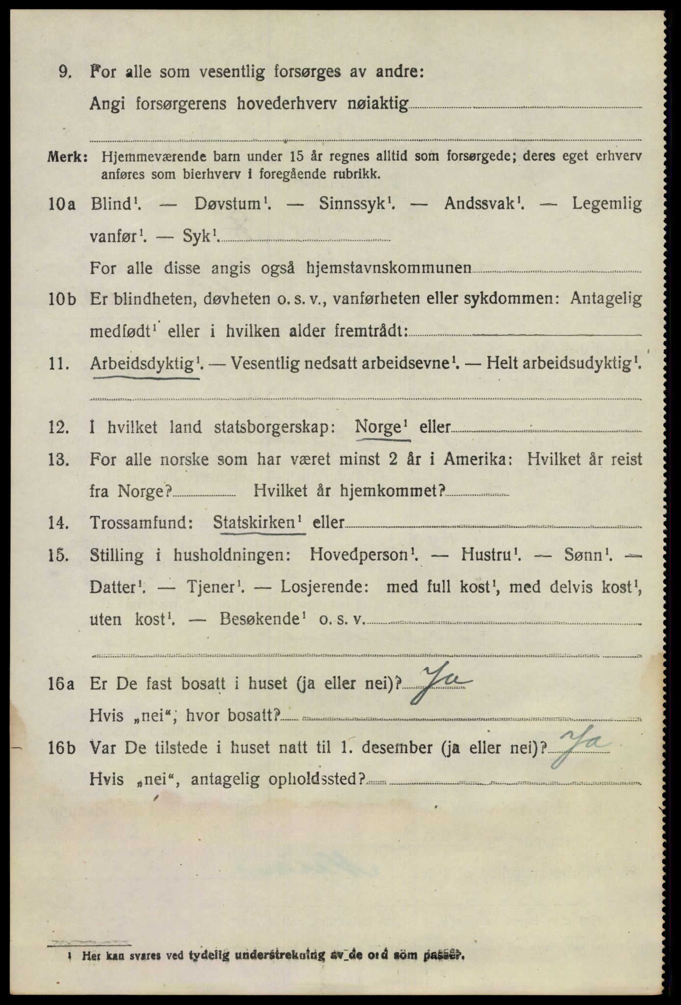 SAO, 1920 census for Nes, 1920, p. 20339