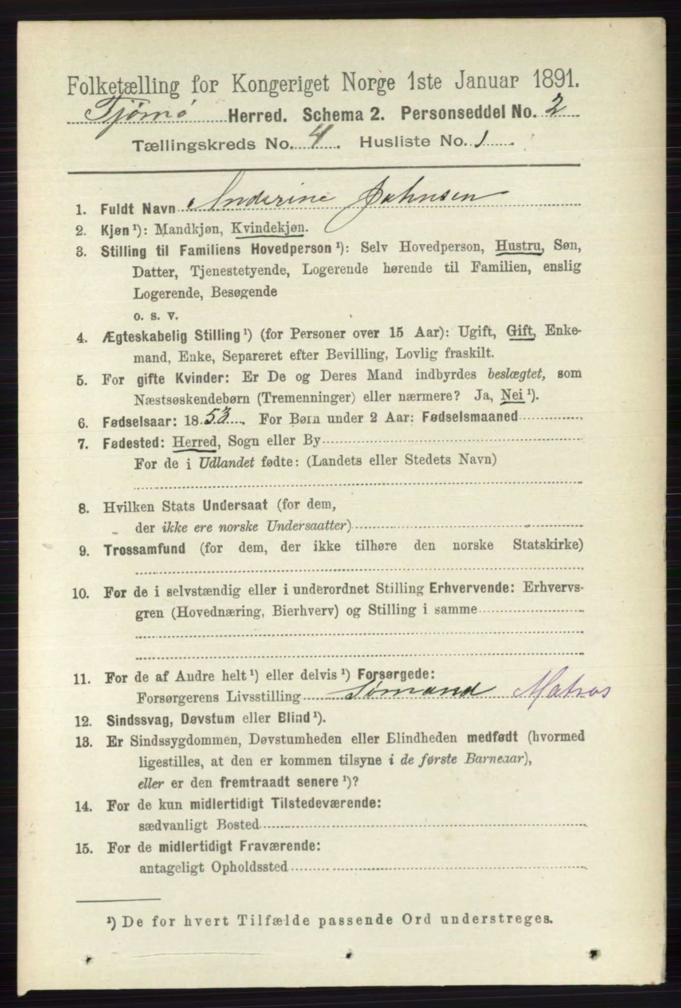 RA, 1891 census for 0723 Tjøme, 1891, p. 1272