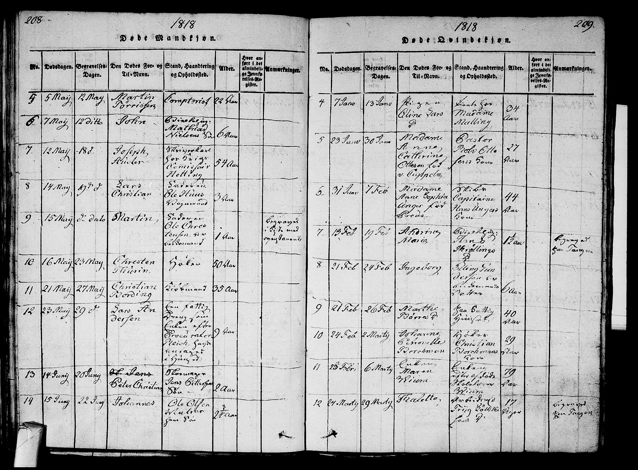 Strømsø kirkebøker, AV/SAKO-A-246/G/Ga/L0001: Parish register (copy) no. 1, 1815-1829, p. 208-209