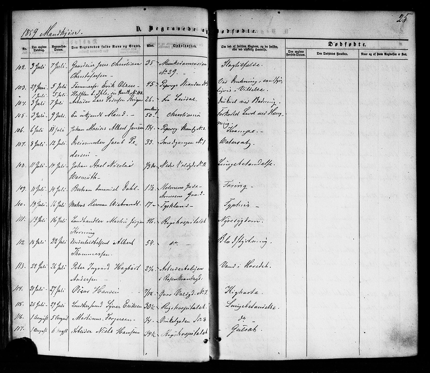 Trefoldighet prestekontor Kirkebøker, SAO/A-10882/F/Fd/L0001: Parish register (official) no. IV 1, 1858-1877, p. 25
