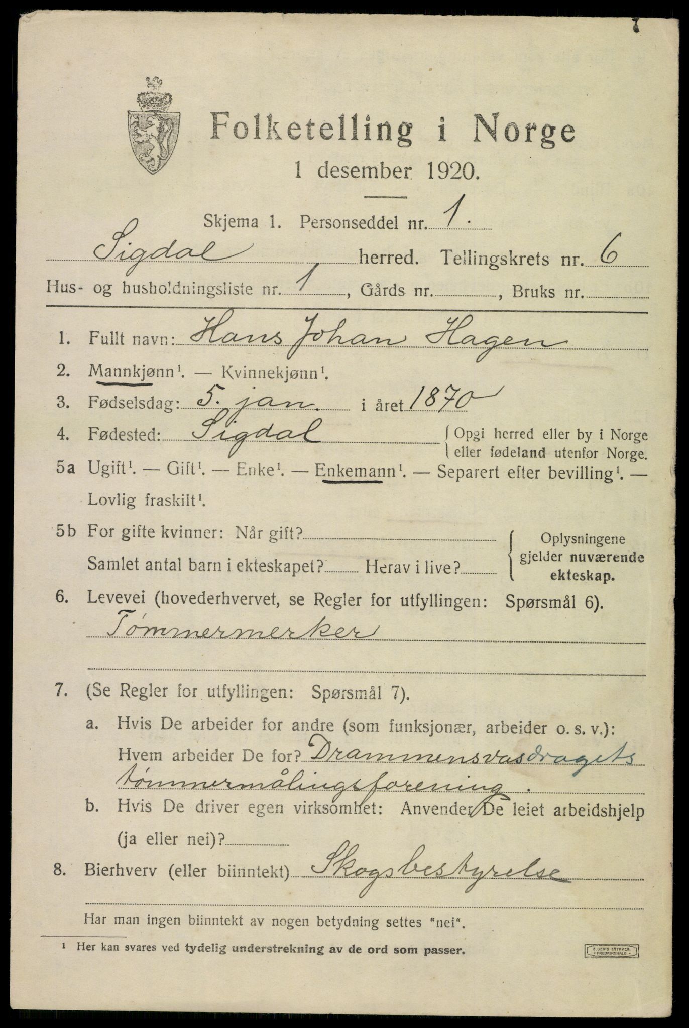 SAKO, 1920 census for Sigdal, 1920, p. 4540