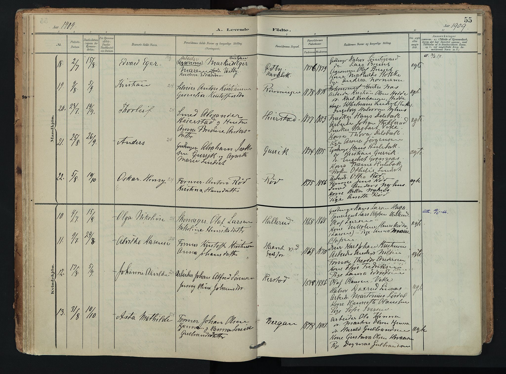 Hof kirkebøker, AV/SAKO-A-64/F/Fa/L0008: Parish register (official) no. I 8, 1902-1921, p. 55