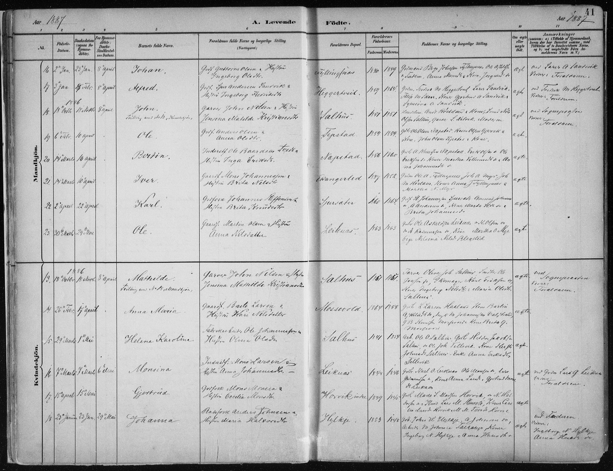 Hamre sokneprestembete, AV/SAB-A-75501/H/Ha/Haa/Haab/L0001: Parish register (official) no. B  1, 1882-1905, p. 41