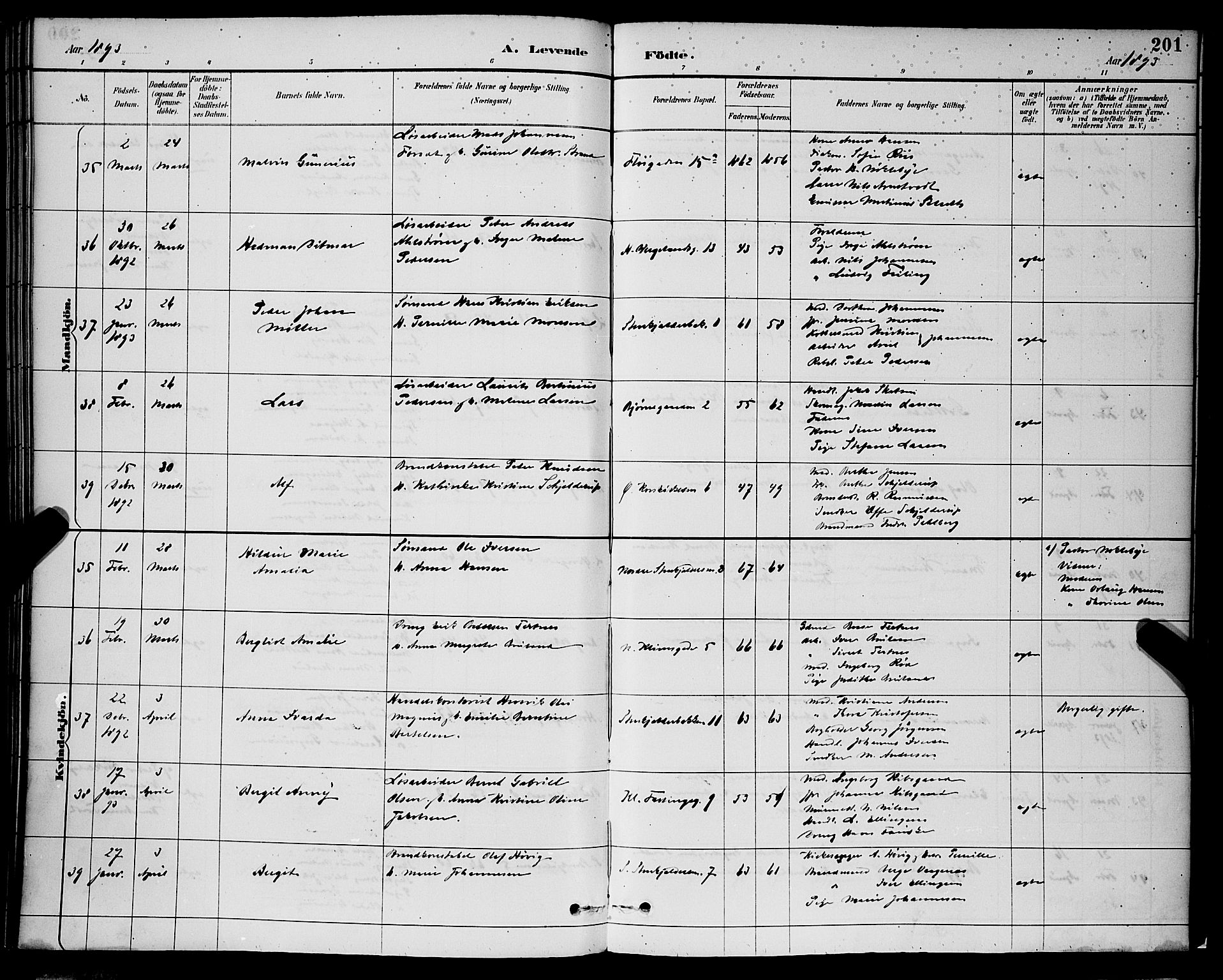 Korskirken sokneprestembete, AV/SAB-A-76101/H/Hab: Parish register (copy) no. B 9, 1887-1896, p. 201