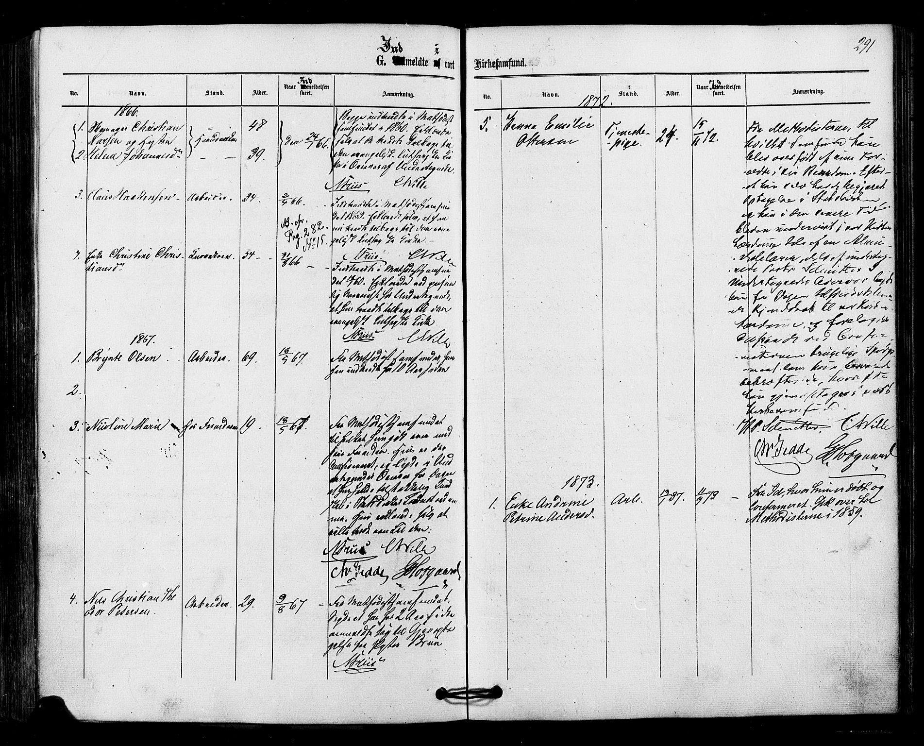 Halden prestekontor Kirkebøker, SAO/A-10909/F/Fa/L0010: Parish register (official) no. I 10, 1866-1877, p. 291