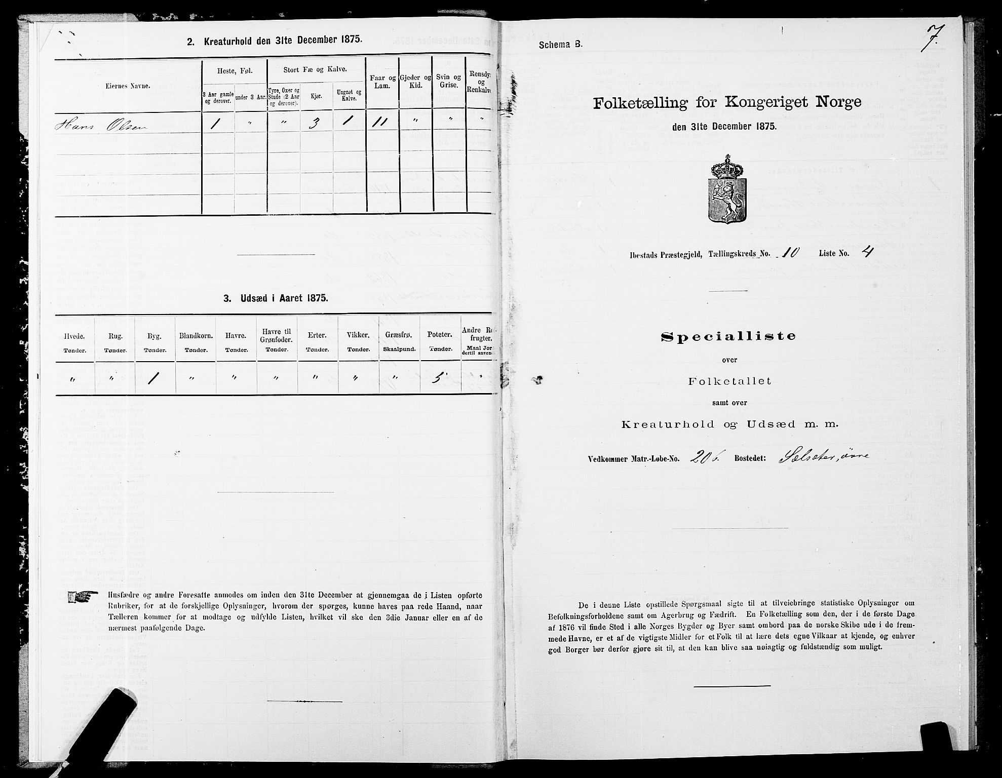 SATØ, 1875 census for 1917P Ibestad, 1875, p. 7007