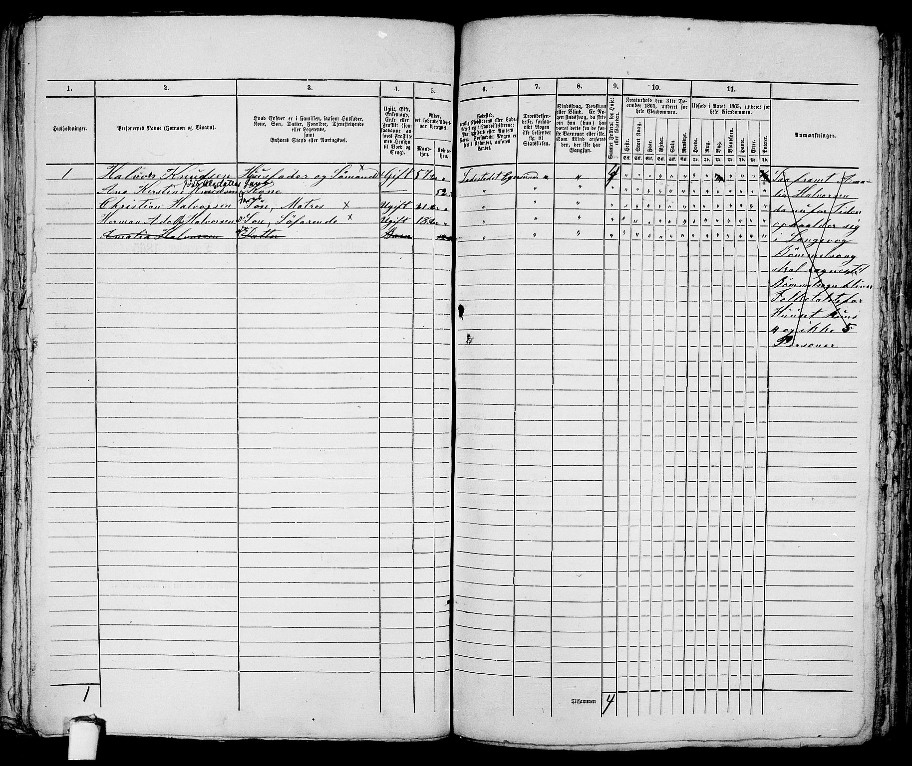 RA, 1865 census for Eigersund parish, Egersund town, 1865, p. 333
