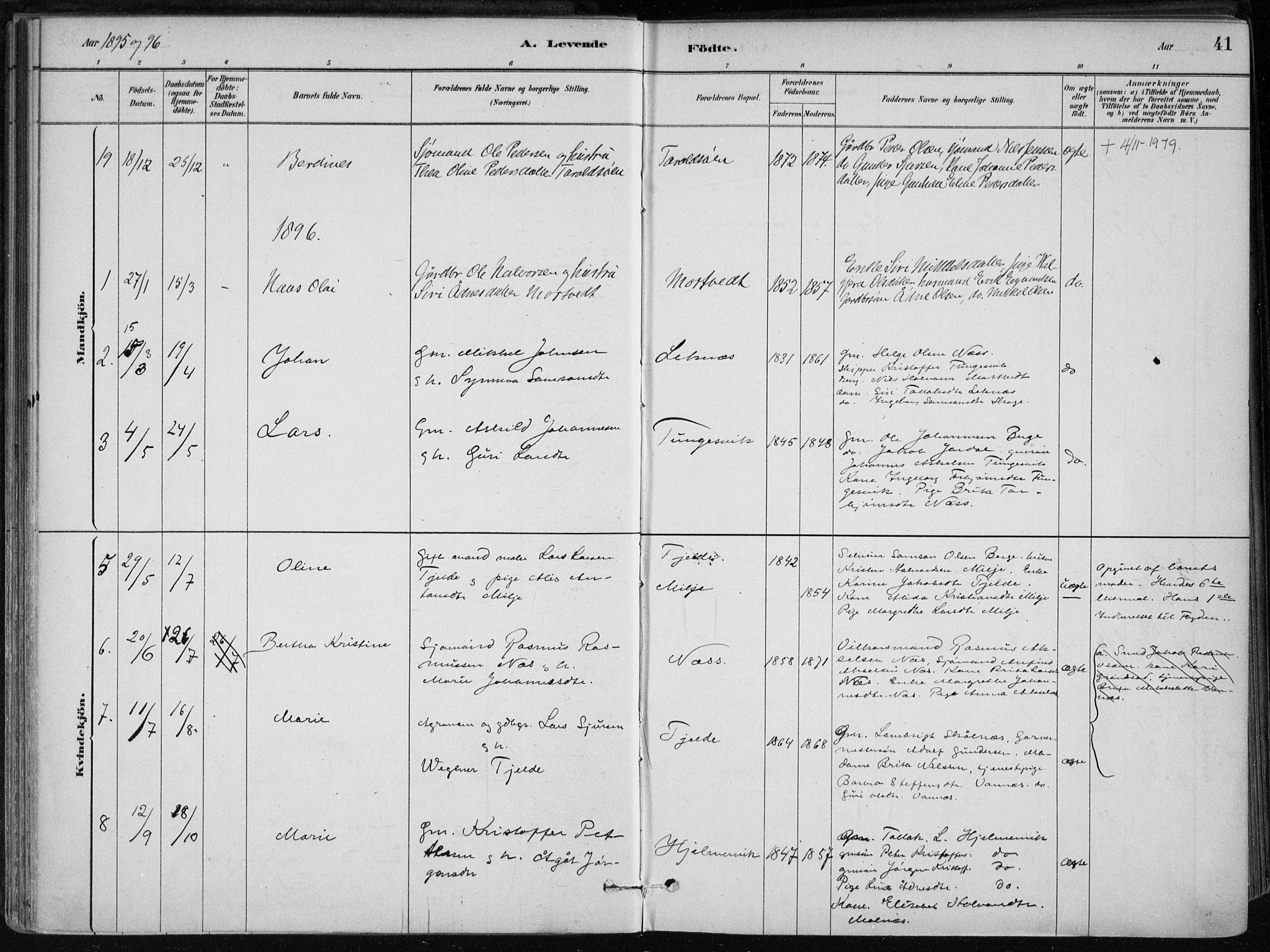 Skånevik sokneprestembete, SAB/A-77801/H/Haa: Parish register (official) no. B 1, 1879-1914, p. 41
