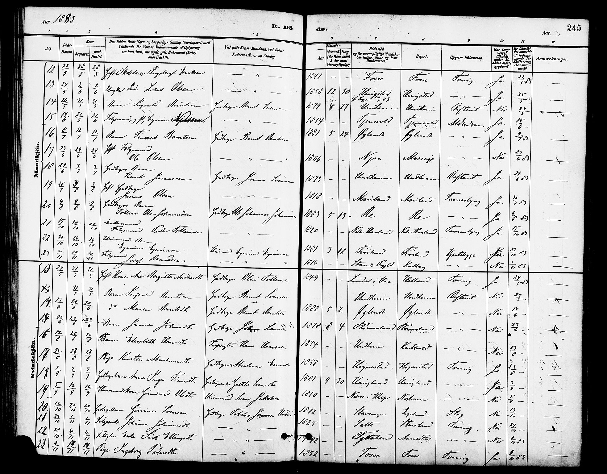 Lye sokneprestkontor, SAST/A-101794/001/30BA/L0009: Parish register (official) no. A 8, 1881-1892, p. 245