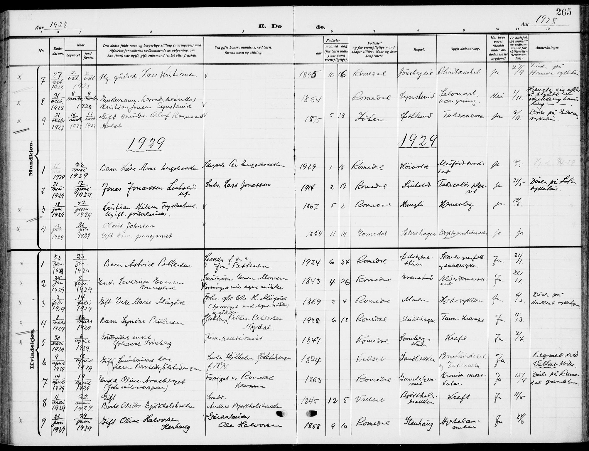 Romedal prestekontor, SAH/PREST-004/K/L0012: Parish register (official) no. 12, 1913-1935, p. 265