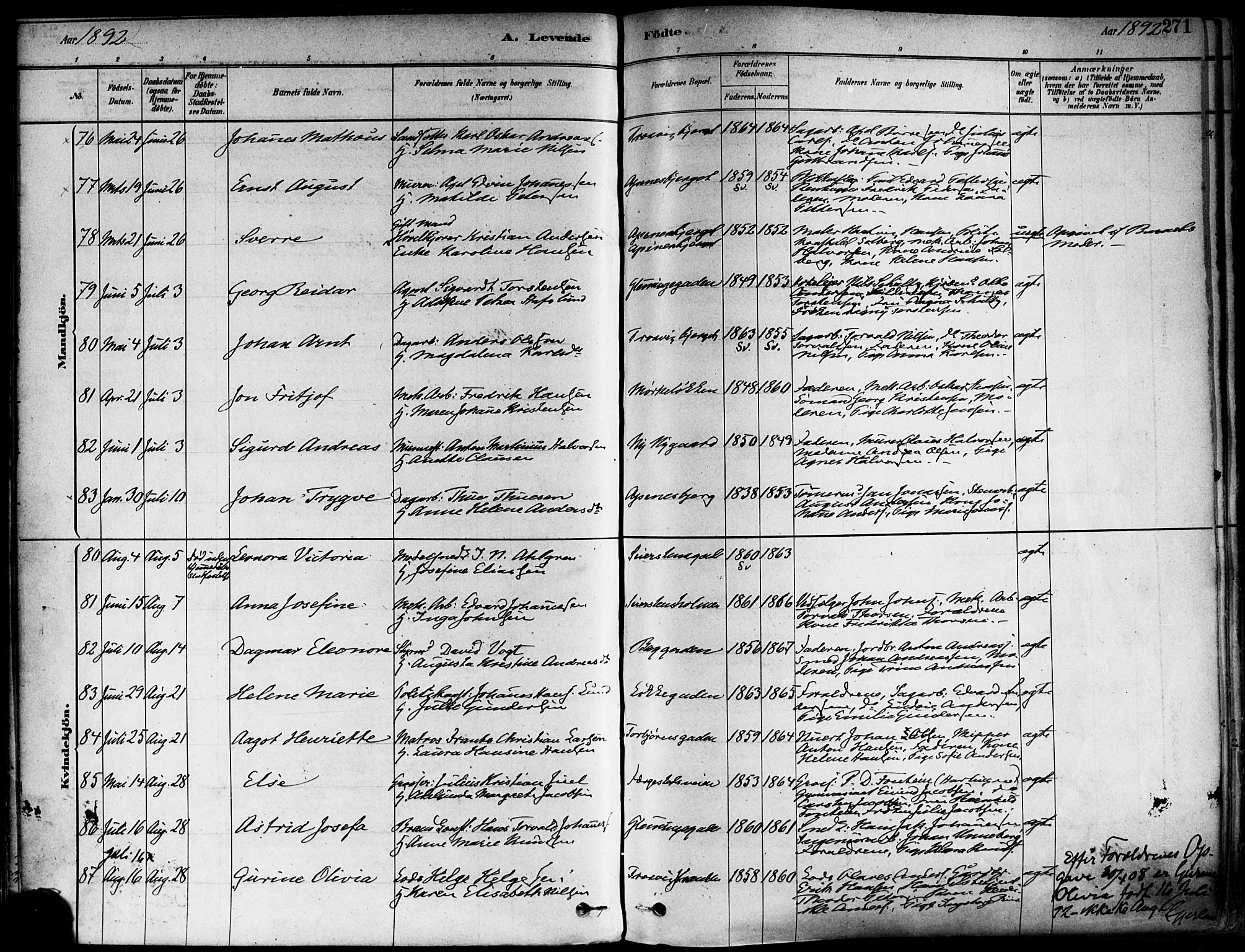 Fredrikstad domkirkes prestekontor Kirkebøker, SAO/A-10906/F/Fa/L0002: Parish register (official) no. 2, 1878-1894, p. 271