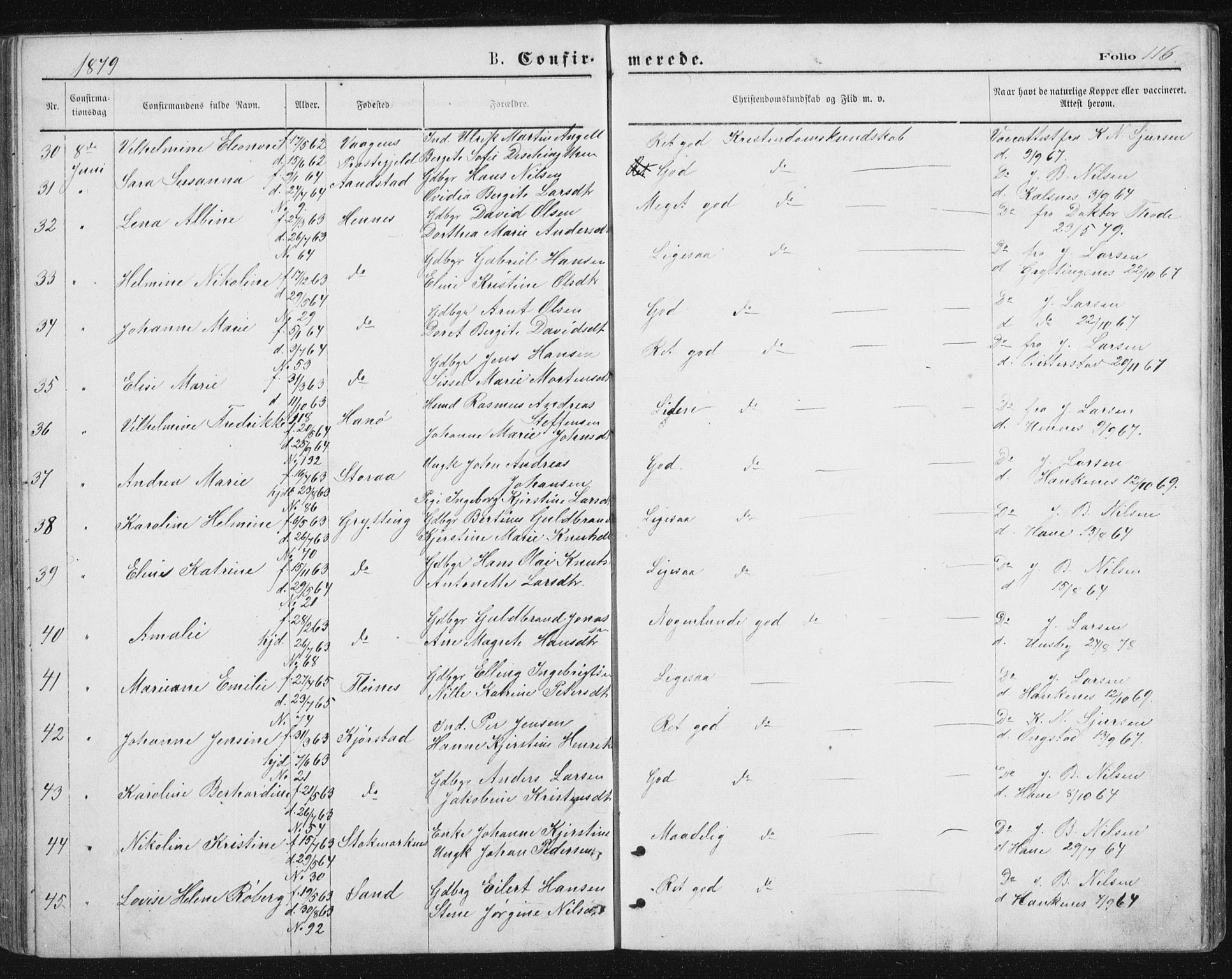 Ministerialprotokoller, klokkerbøker og fødselsregistre - Nordland, AV/SAT-A-1459/888/L1243: Parish register (official) no. 888A09, 1876-1879, p. 116