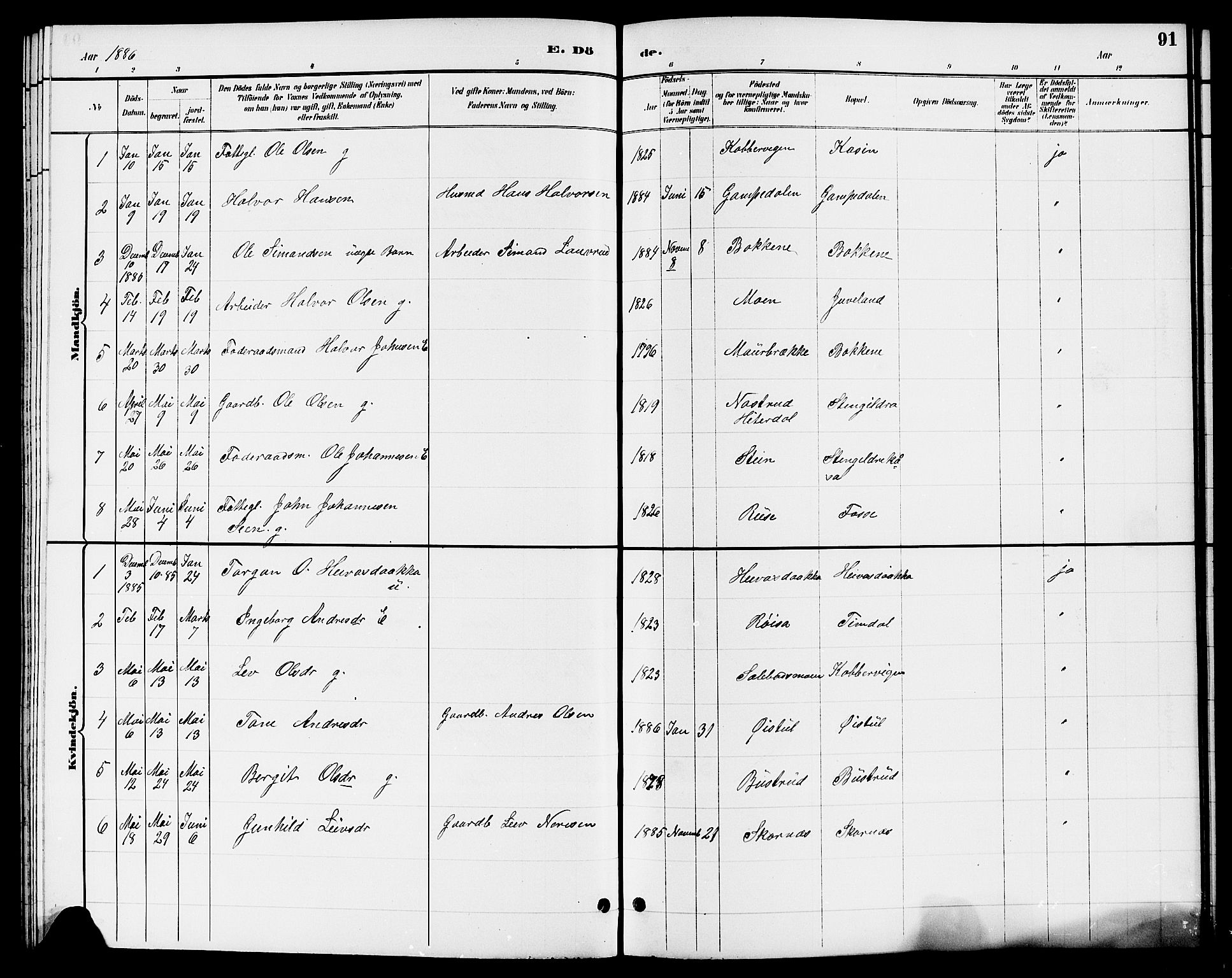 Hjartdal kirkebøker, SAKO/A-270/G/Gb/L0003: Parish register (copy) no. II 3, 1884-1899, p. 91