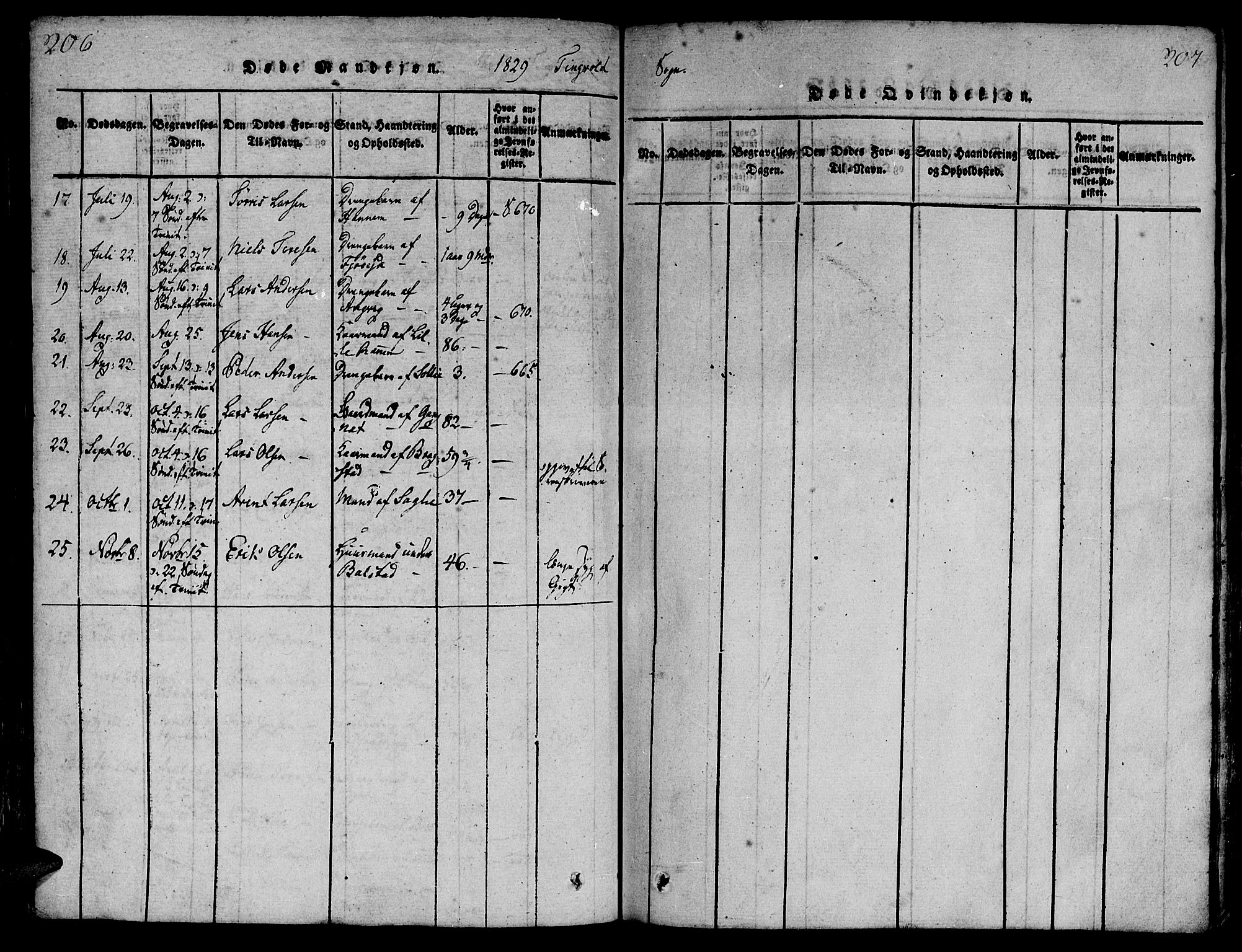 Ministerialprotokoller, klokkerbøker og fødselsregistre - Møre og Romsdal, AV/SAT-A-1454/586/L0982: Parish register (official) no. 586A08, 1819-1829, p. 206-207