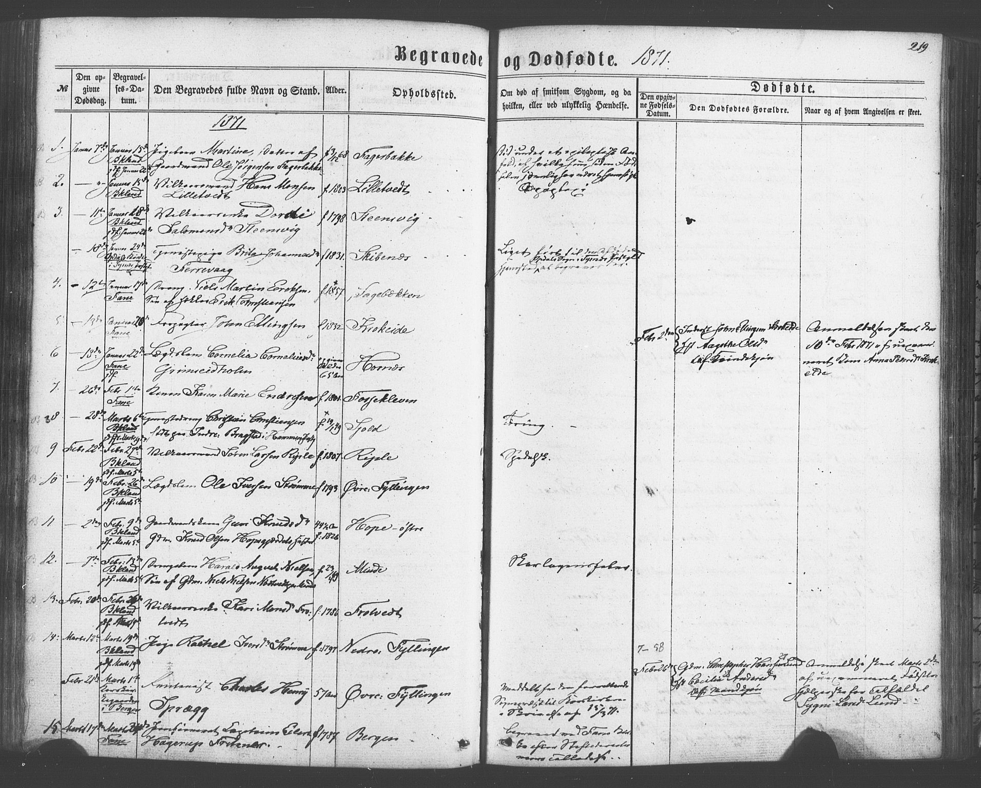 Fana Sokneprestembete, SAB/A-75101/H/Haa/Haaa/L0012: Parish register (official) no. A 12, 1862-1878, p. 219