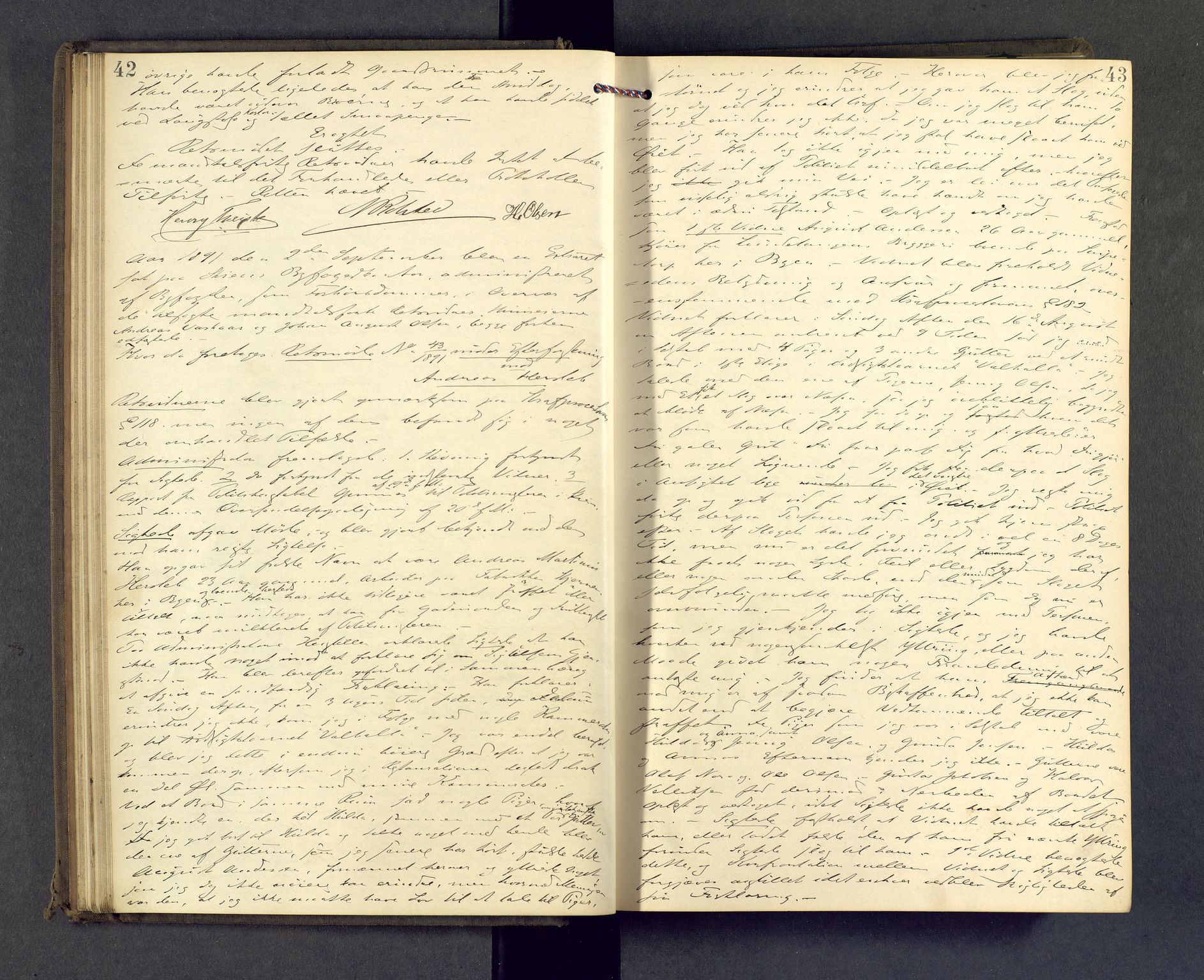 Skien byfogd, AV/SAKO-A-219/F/Fb/L0008: Forhørsprotokoll, 1891-1892, p. 42-43