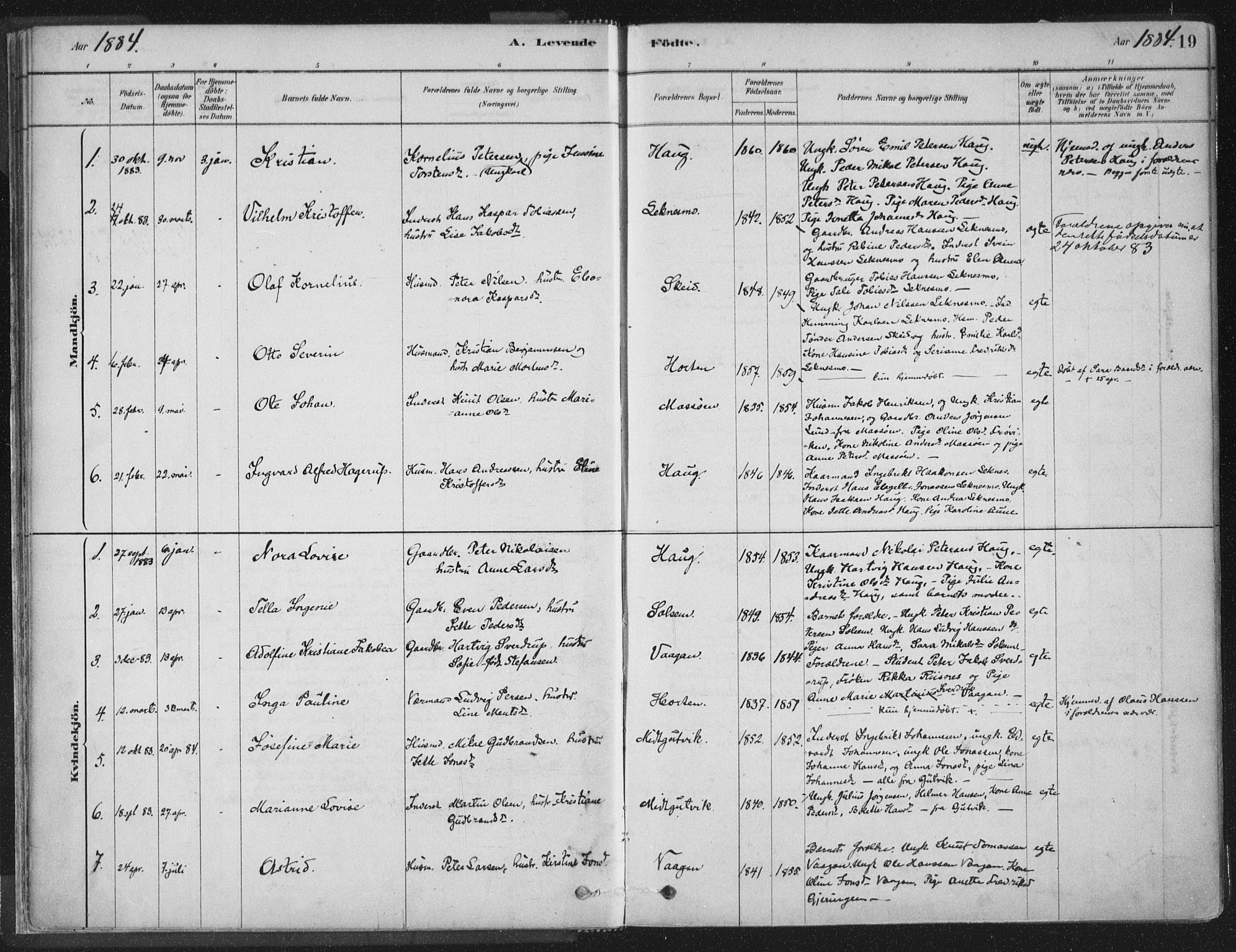 Ministerialprotokoller, klokkerbøker og fødselsregistre - Nord-Trøndelag, SAT/A-1458/788/L0697: Parish register (official) no. 788A04, 1878-1902, p. 19