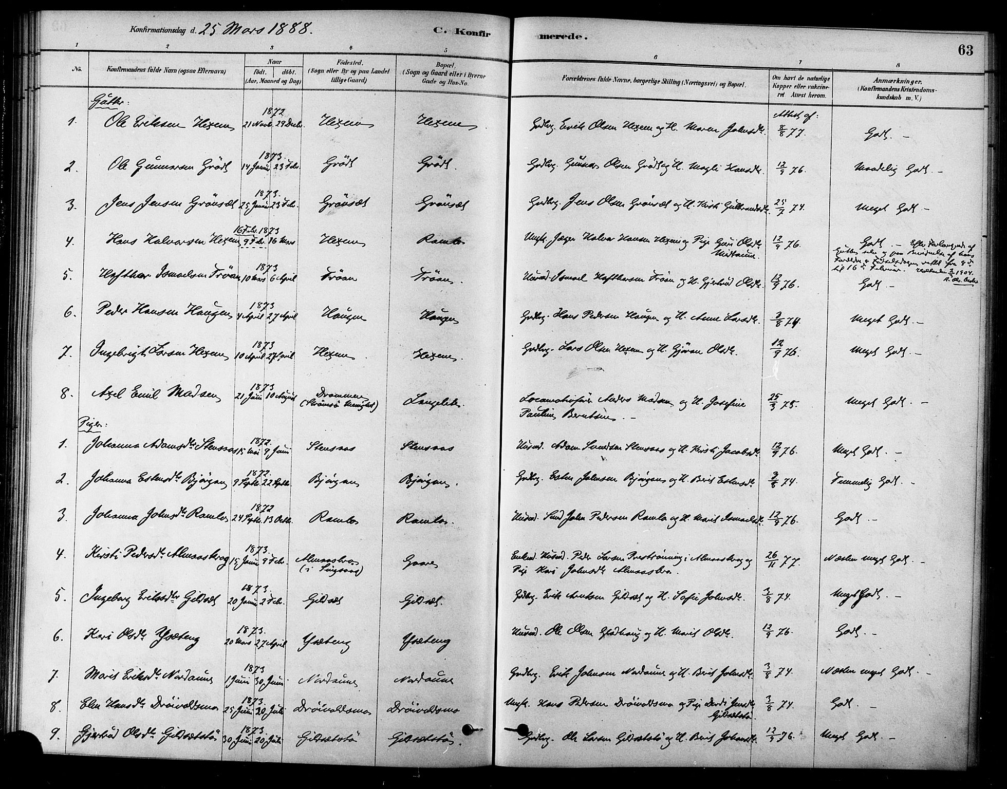 Ministerialprotokoller, klokkerbøker og fødselsregistre - Sør-Trøndelag, AV/SAT-A-1456/685/L0972: Parish register (official) no. 685A09, 1879-1890, p. 63