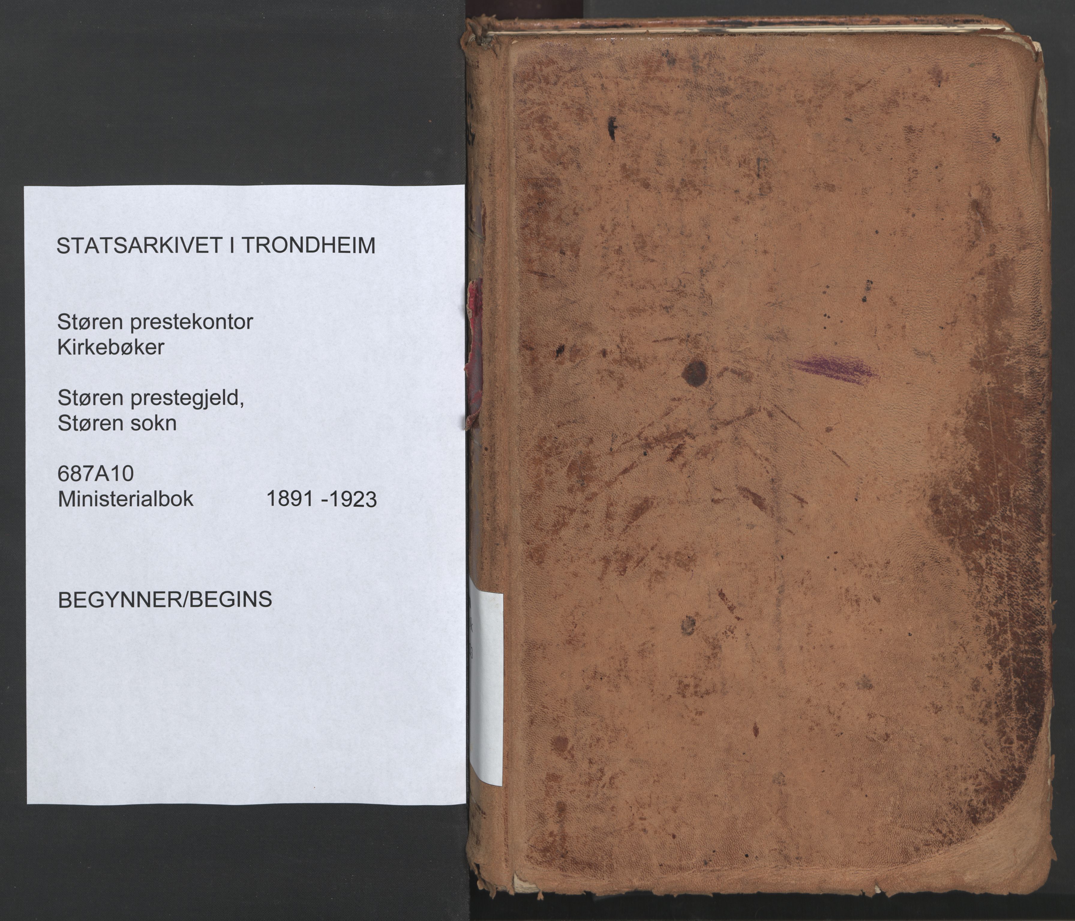Ministerialprotokoller, klokkerbøker og fødselsregistre - Sør-Trøndelag, SAT/A-1456/687/L1004: Parish register (official) no. 687A10, 1891-1923