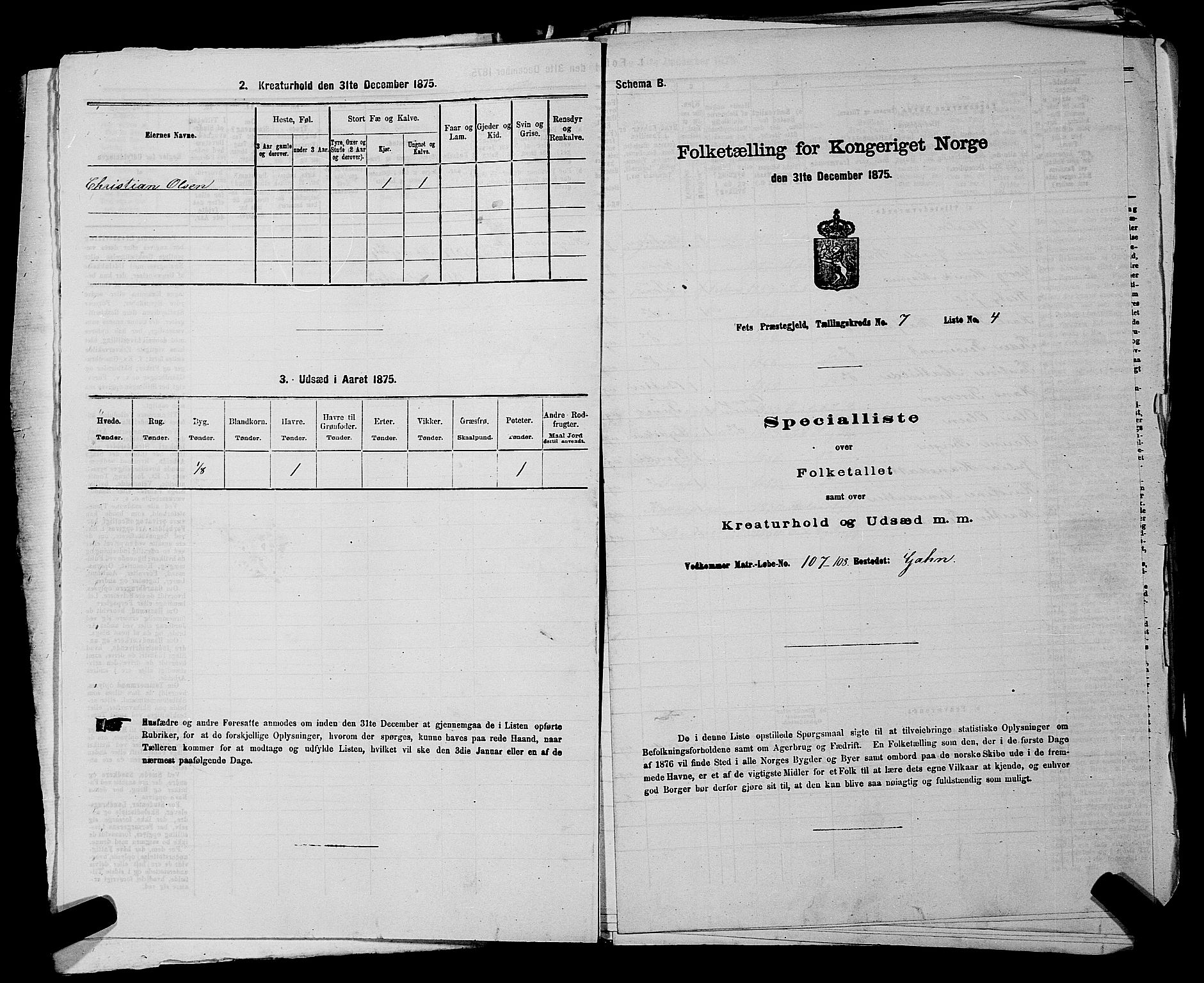 RA, 1875 census for 0227P Fet, 1875, p. 999