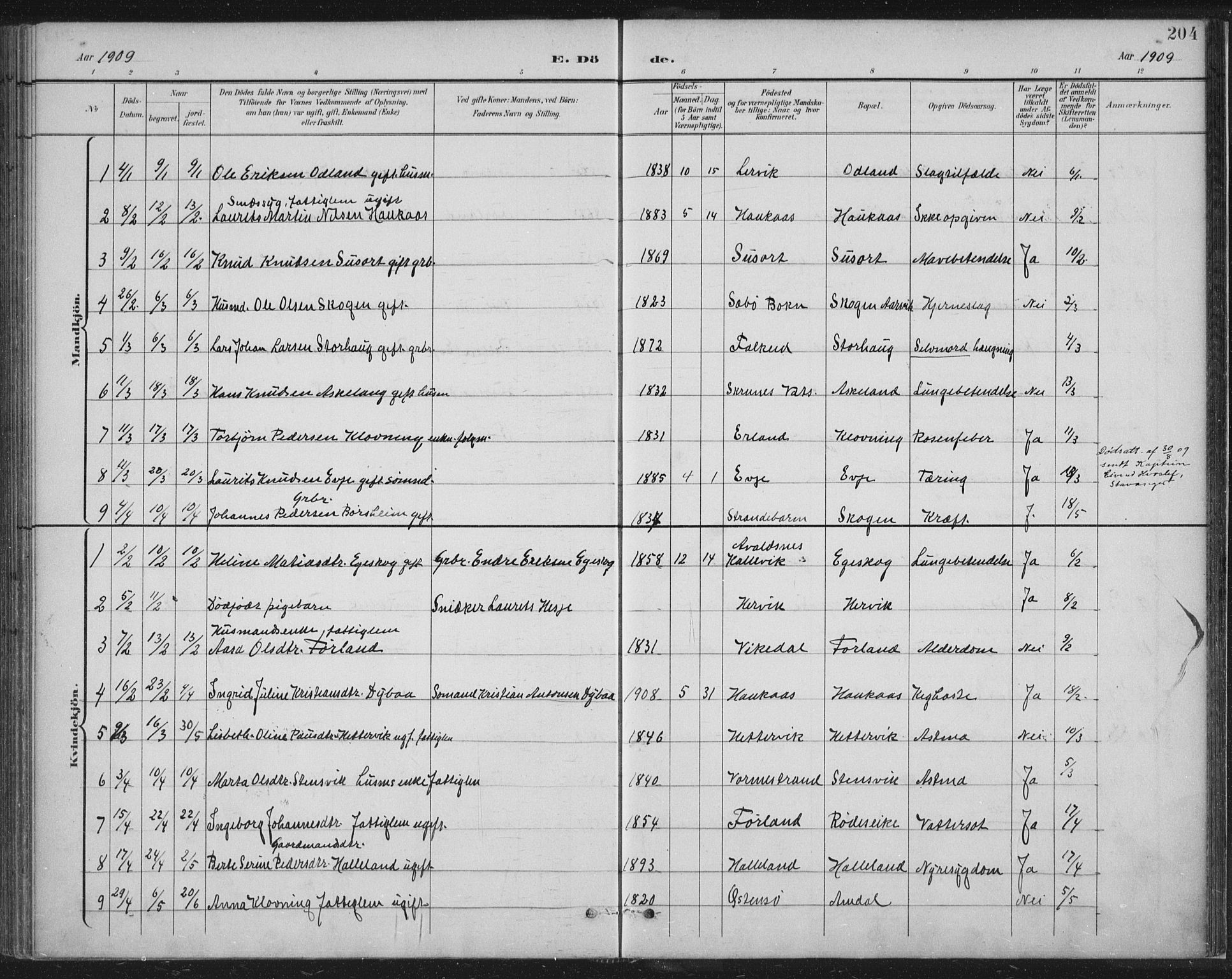 Tysvær sokneprestkontor, SAST/A -101864/H/Ha/Haa/L0008: Parish register (official) no. A 8, 1897-1918, p. 204