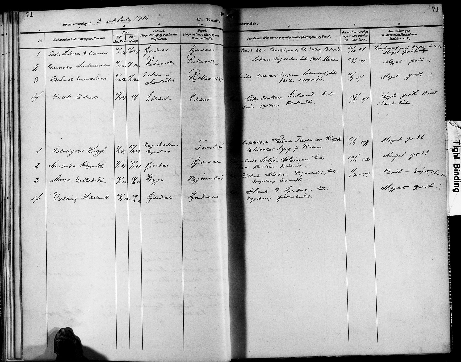 Sirdal sokneprestkontor, AV/SAK-1111-0036/F/Fb/Fbb/L0004: Parish register (copy) no. B 4, 1895-1916, p. 71