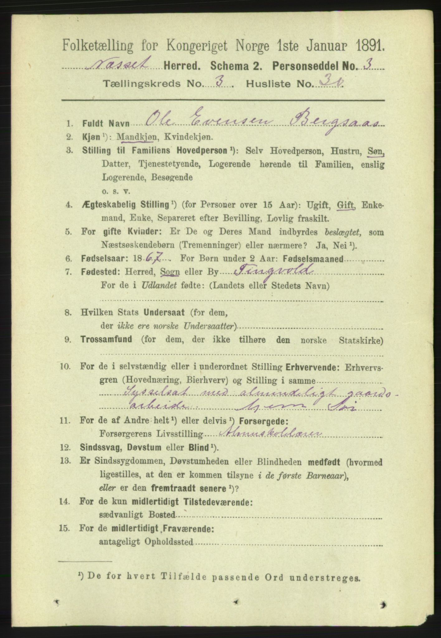 RA, 1891 census for 1543 Nesset, 1891, p. 1298