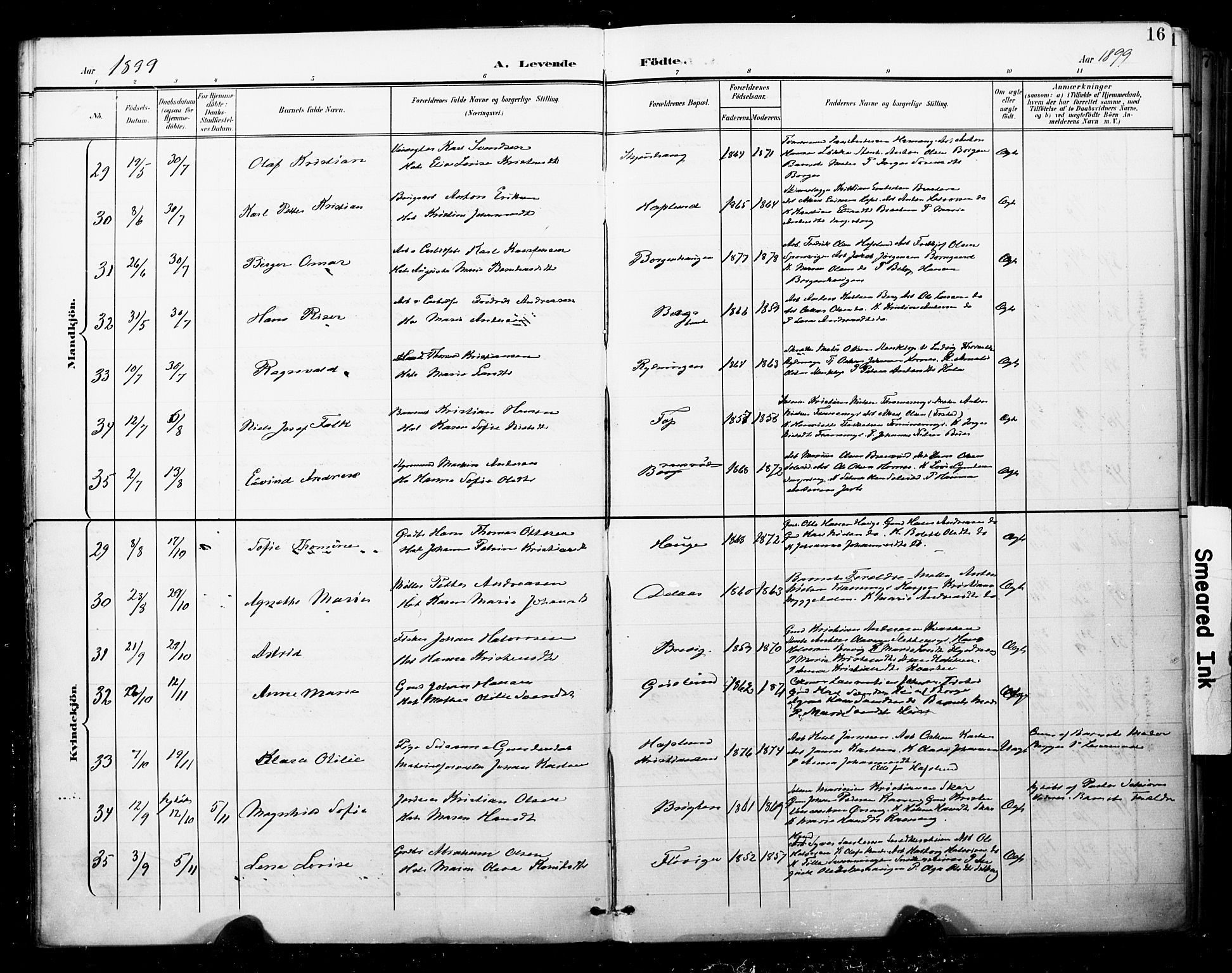 Skjeberg prestekontor Kirkebøker, SAO/A-10923/F/Fa/L0010: Parish register (official) no. I 10, 1898-1911, p. 16