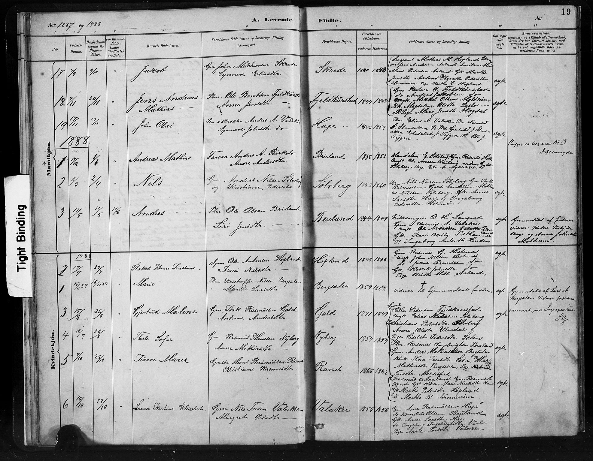 Innvik sokneprestembete, SAB/A-80501: Parish register (copy) no. C 3, 1883-1911, p. 19