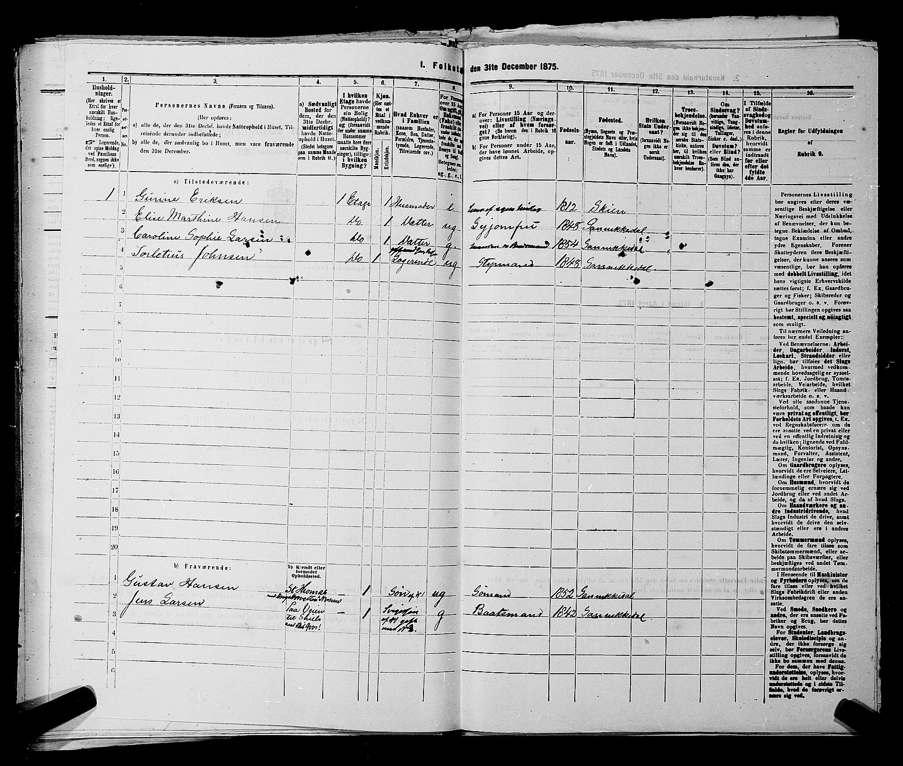 SAKO, 1875 census for 0801P Kragerø, 1875, p. 195